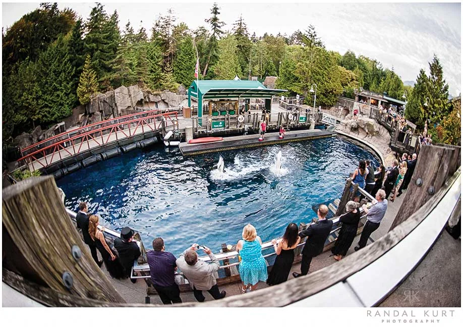 vancouver-aquarium-wedding