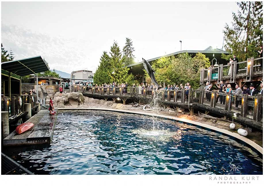 vancouver-aquarium-wedding