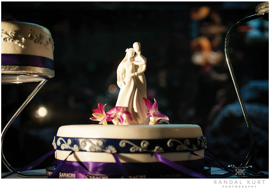 vancouver-aquarium-wedding