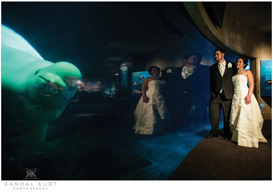 vancouver-aquarium-wedding