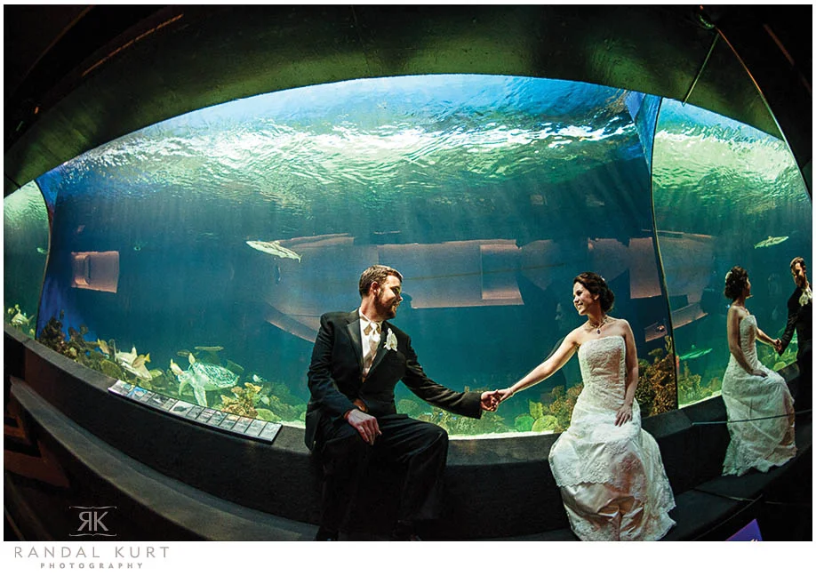 vancouver-aquarium-wedding