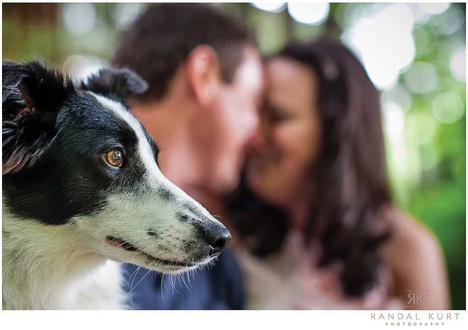 forest-engagment-session