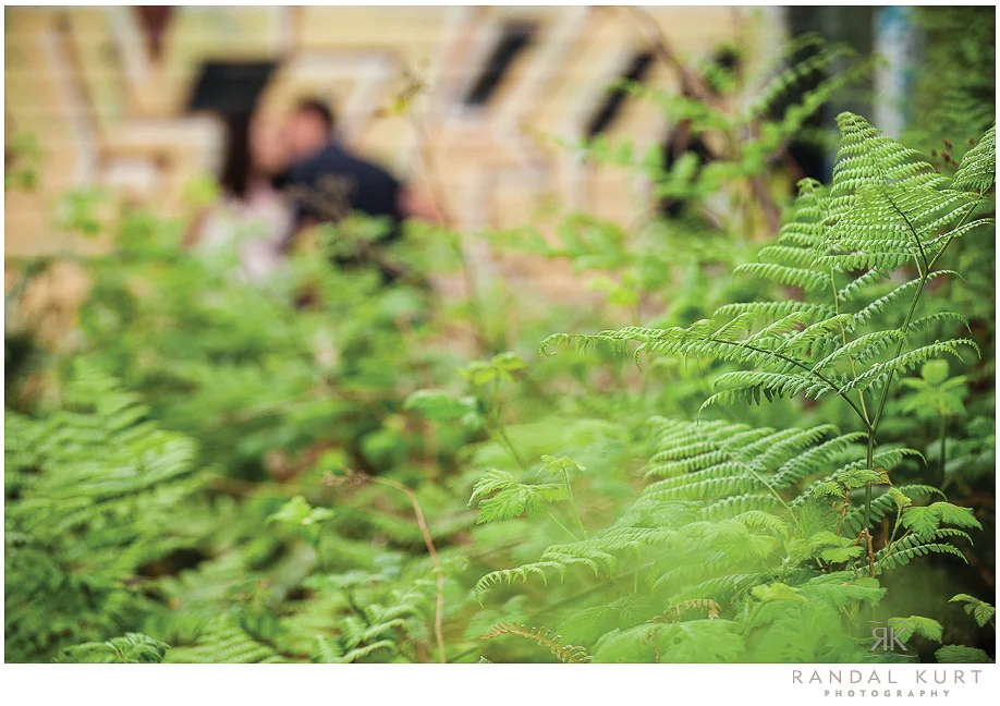 forest-engagment-session