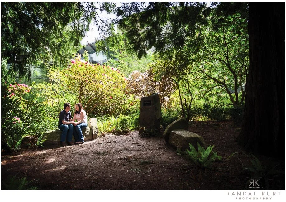 forest-engagment-session