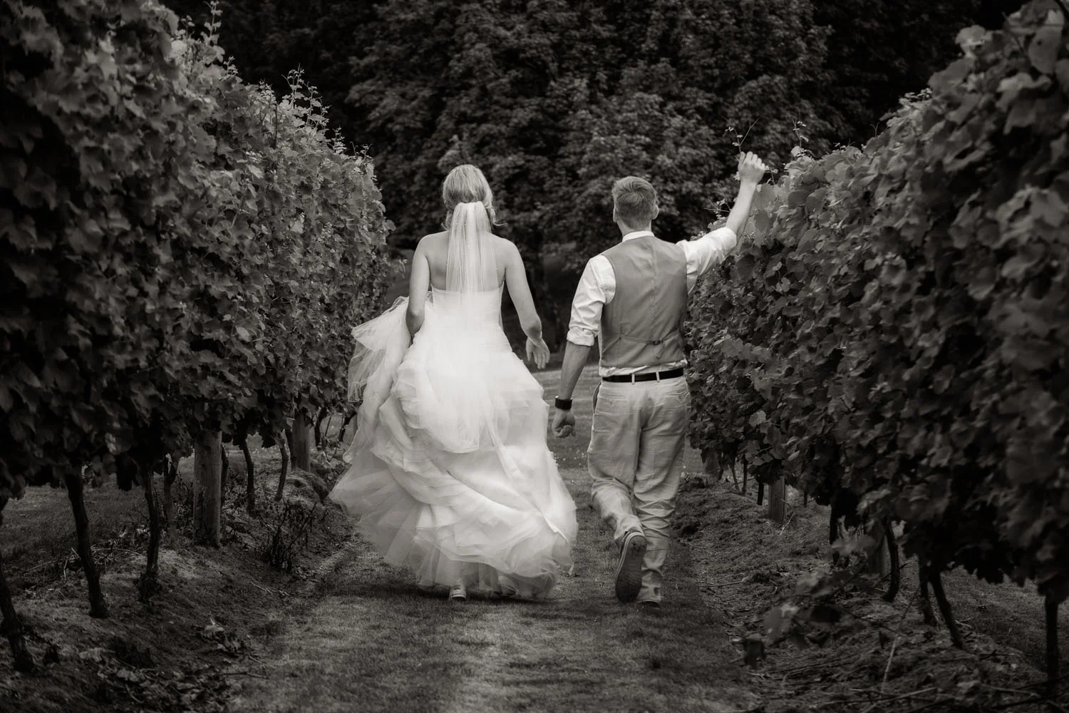 mt-lehman-wedding.jpg