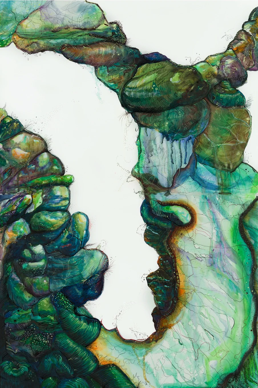 Mussel Memory, 2013.Watercolor and ink on paper, 36"x24".