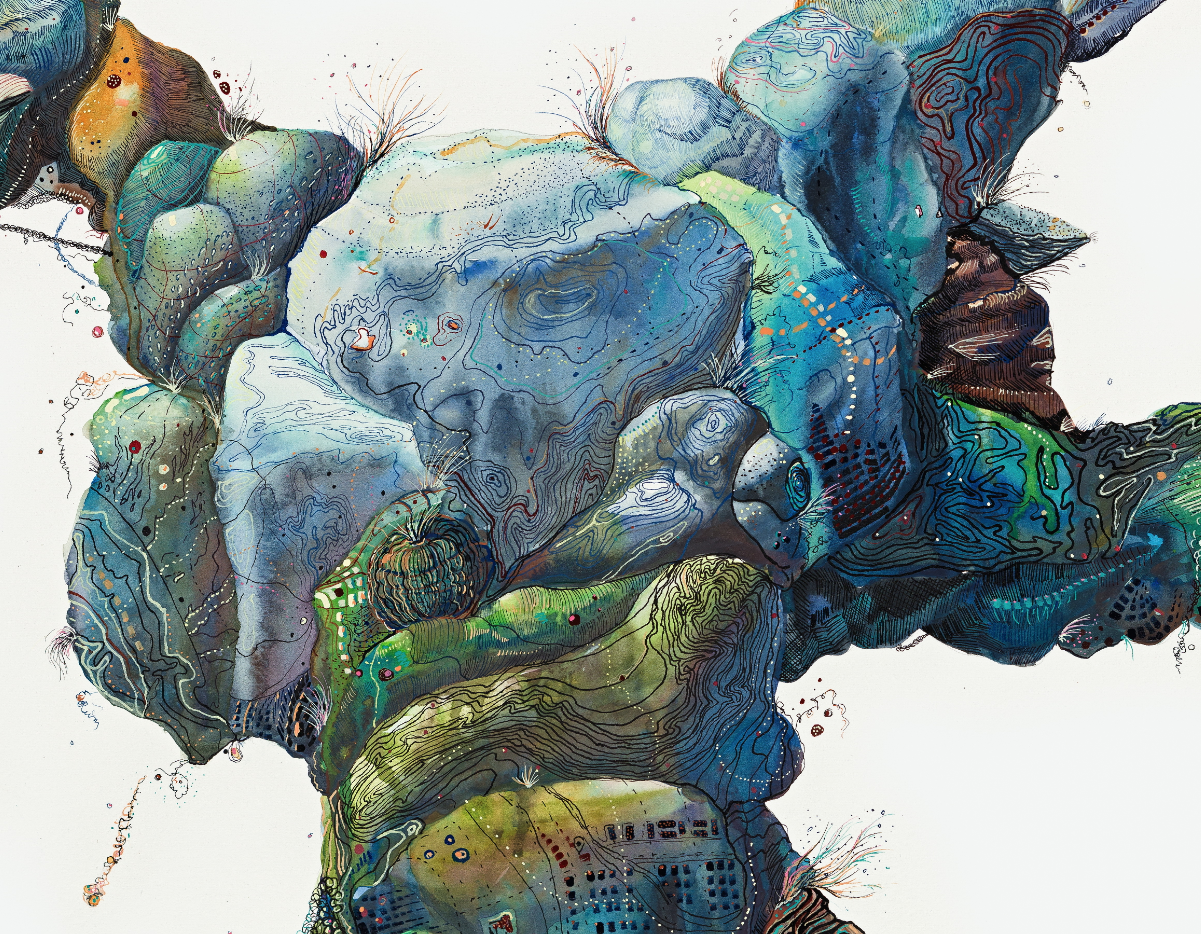 Bathymetric Da Vinci (detail ), 2013 . Watercolor and ink on paper, 24"x36".