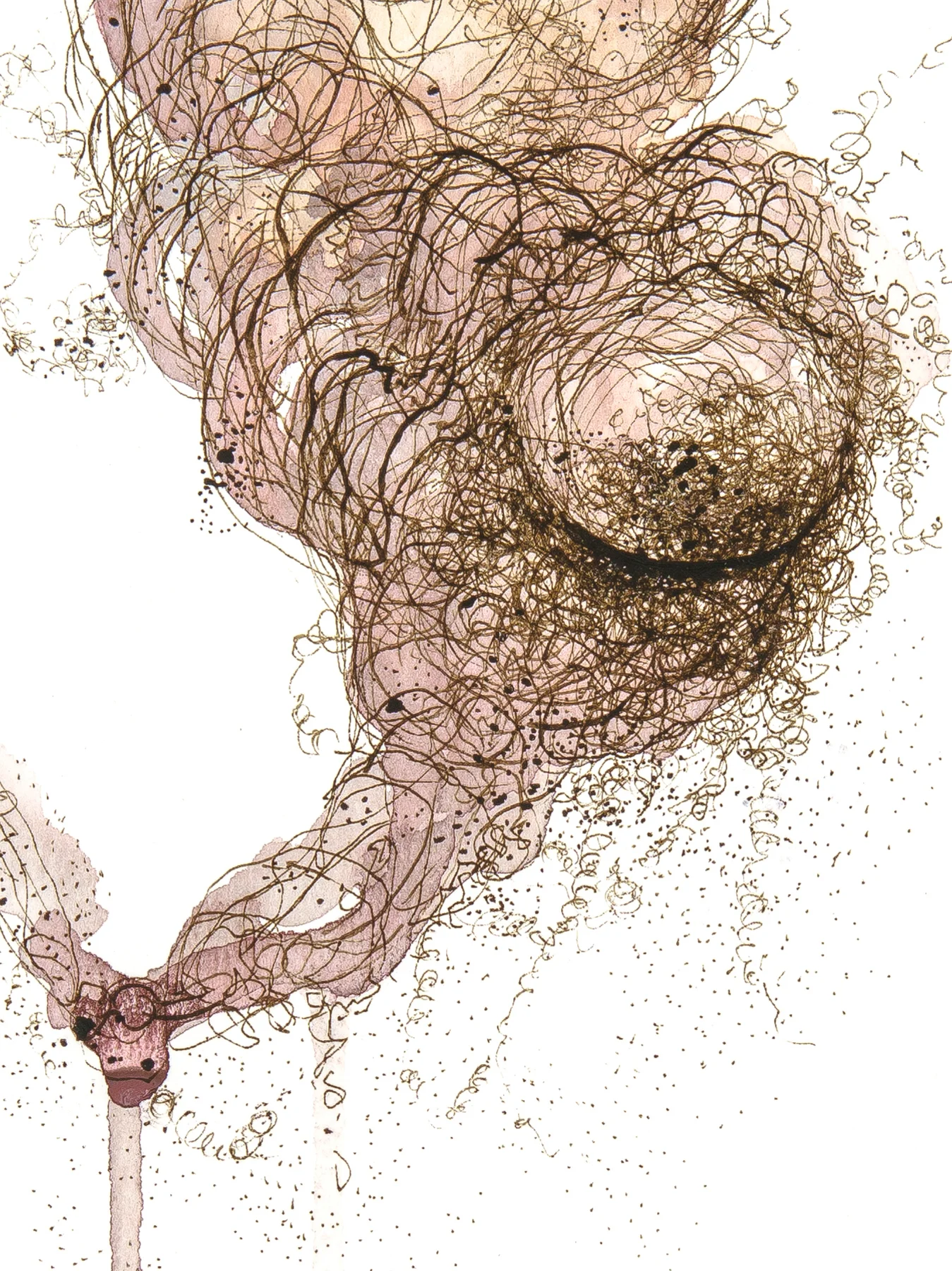 SW_222016_detail.jpeg