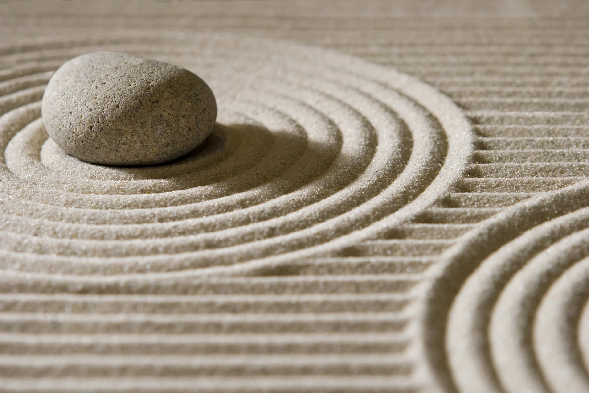 Mended Mind: Danielle Fowler