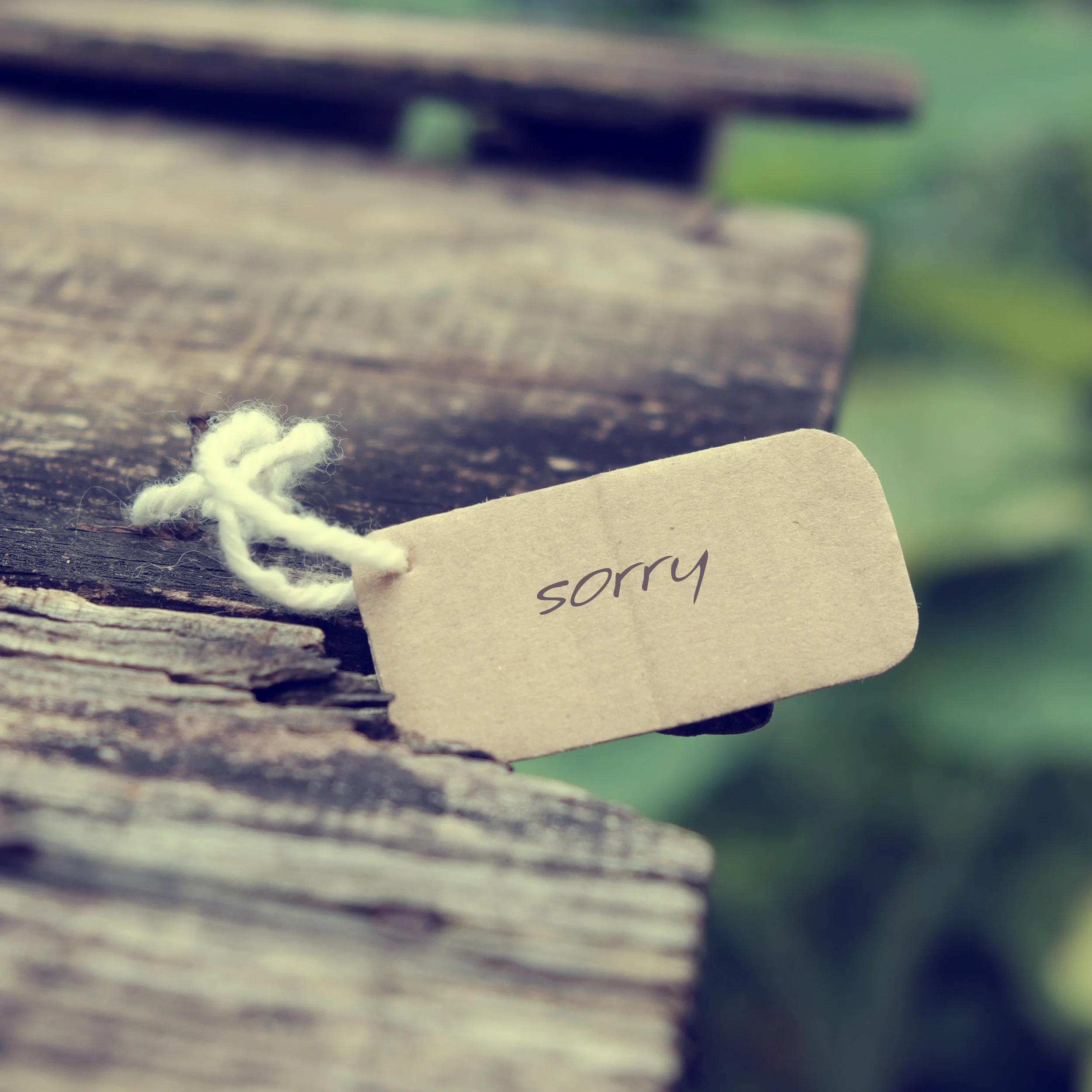 I'm Sorry: Xuchi Naungayan Eggleton