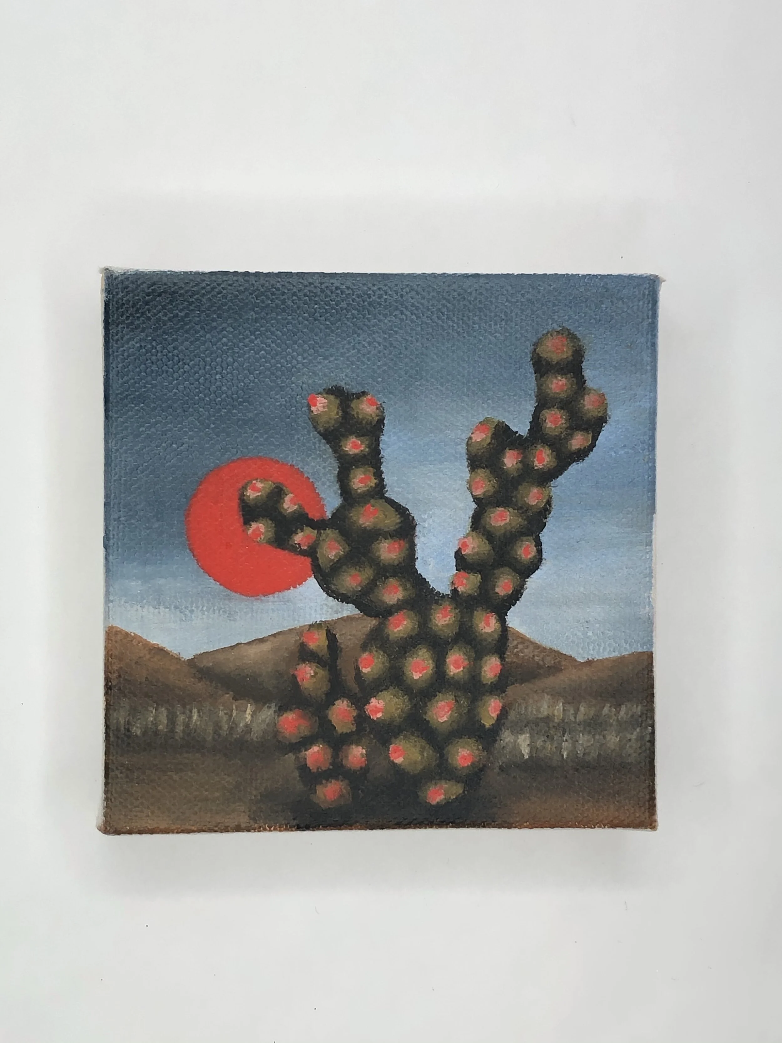 Cactinip Environment l. | Amanda Kachadoorian 