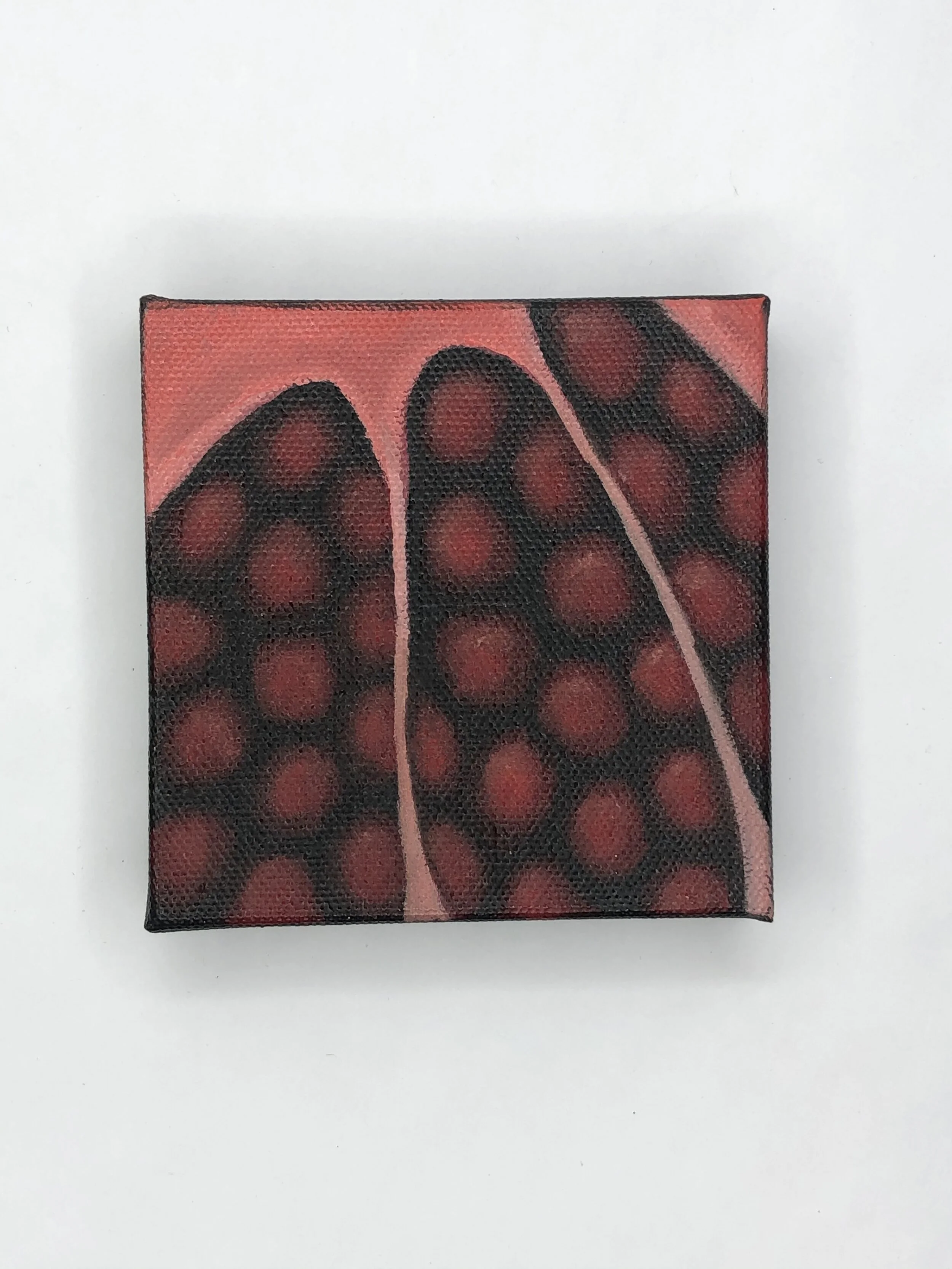 Abstract Pomograian ll. | Amanda Kachadoorian 