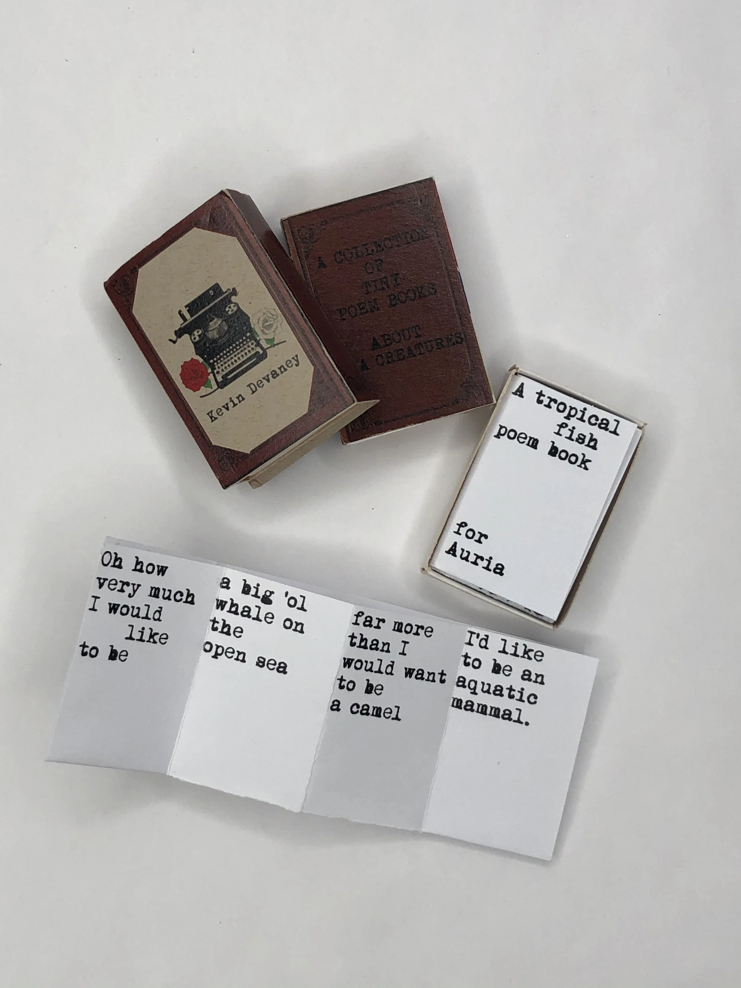 Matchbook Poems | Kevin Devaney 