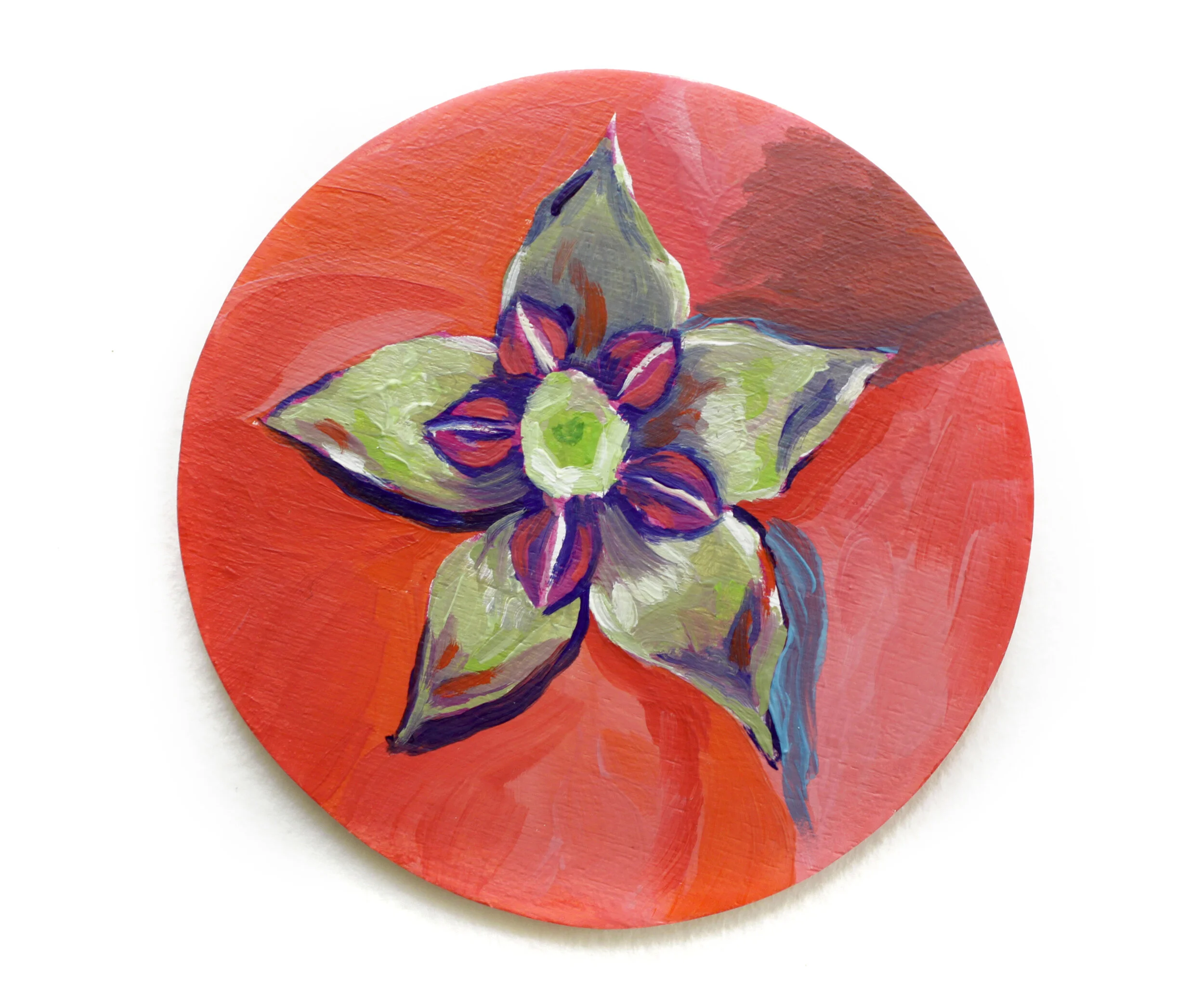 California Milkweed | Chitra Gopala