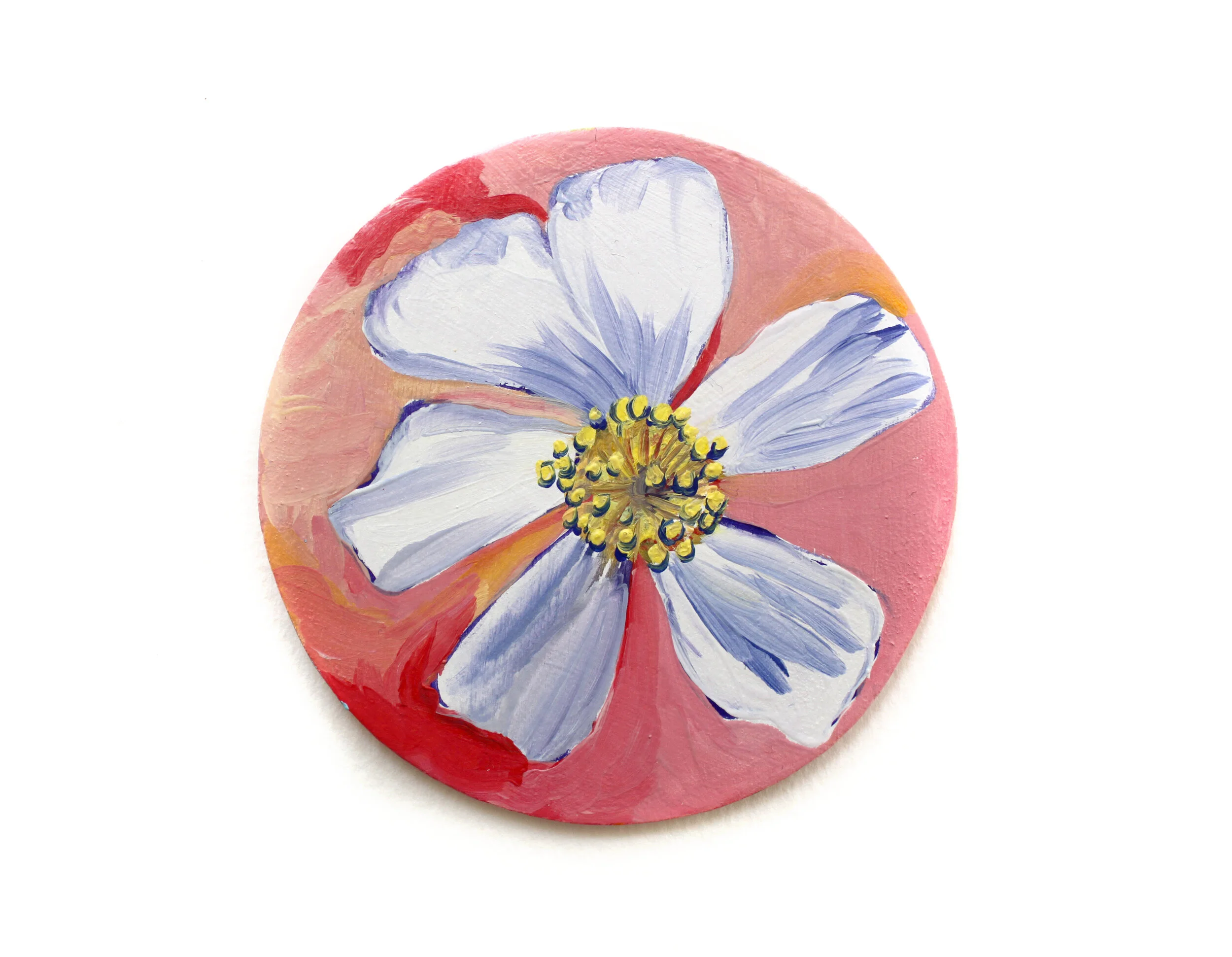 Flatbed Prickly Poppy | Chitra Gopala 