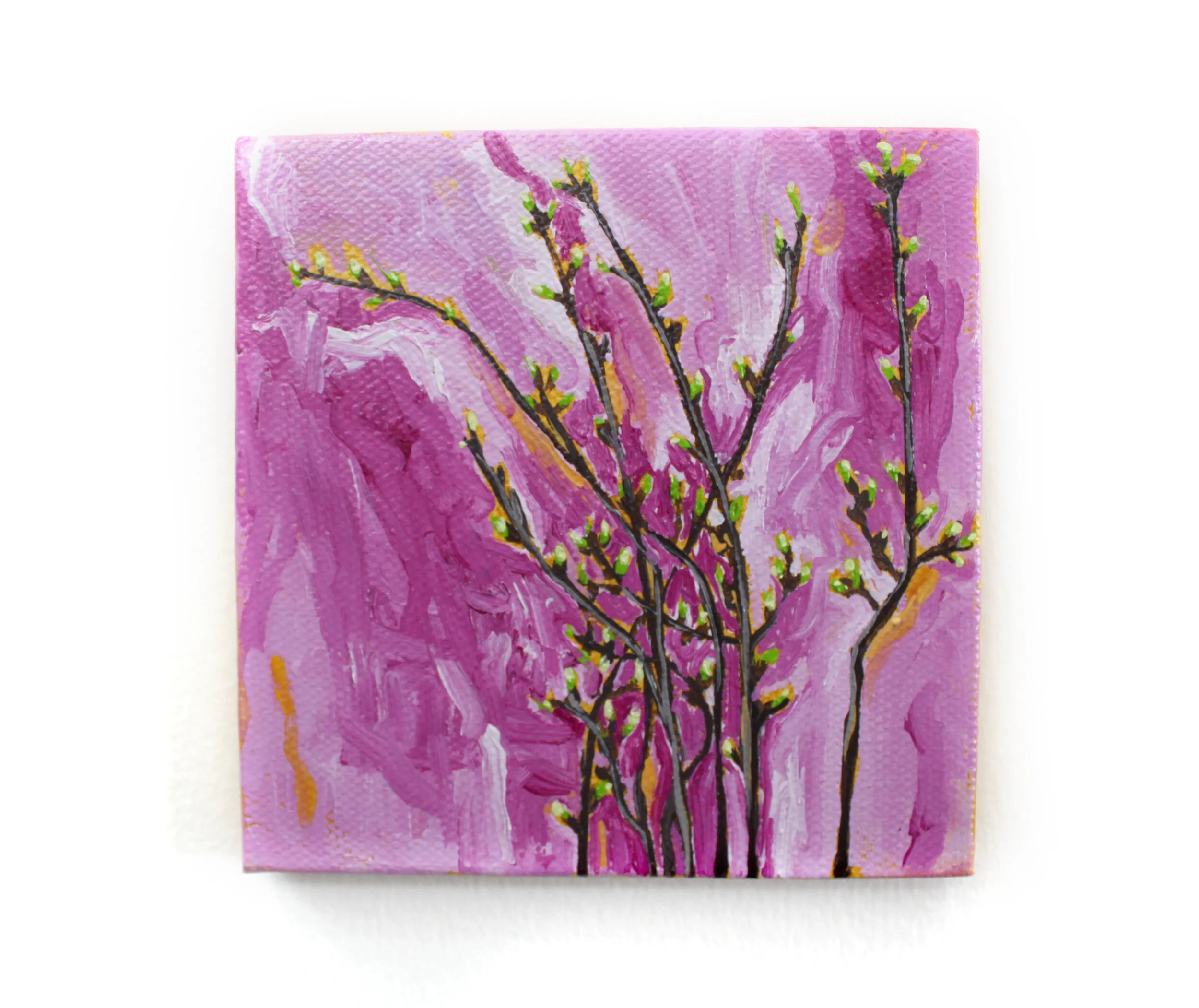 Flowering Branches | Chitra Gopala