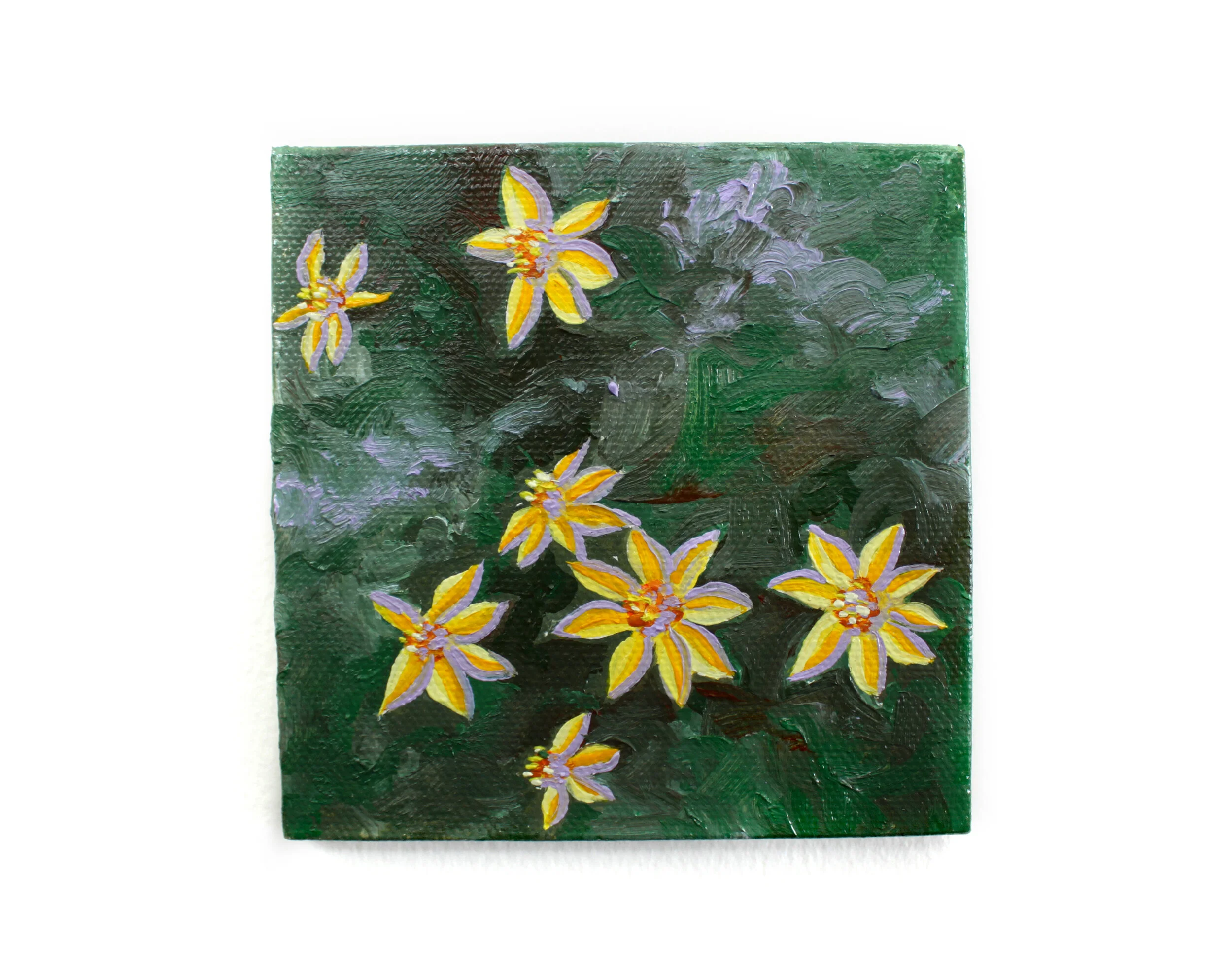 Parish Viguiera | Chitra Gopala 