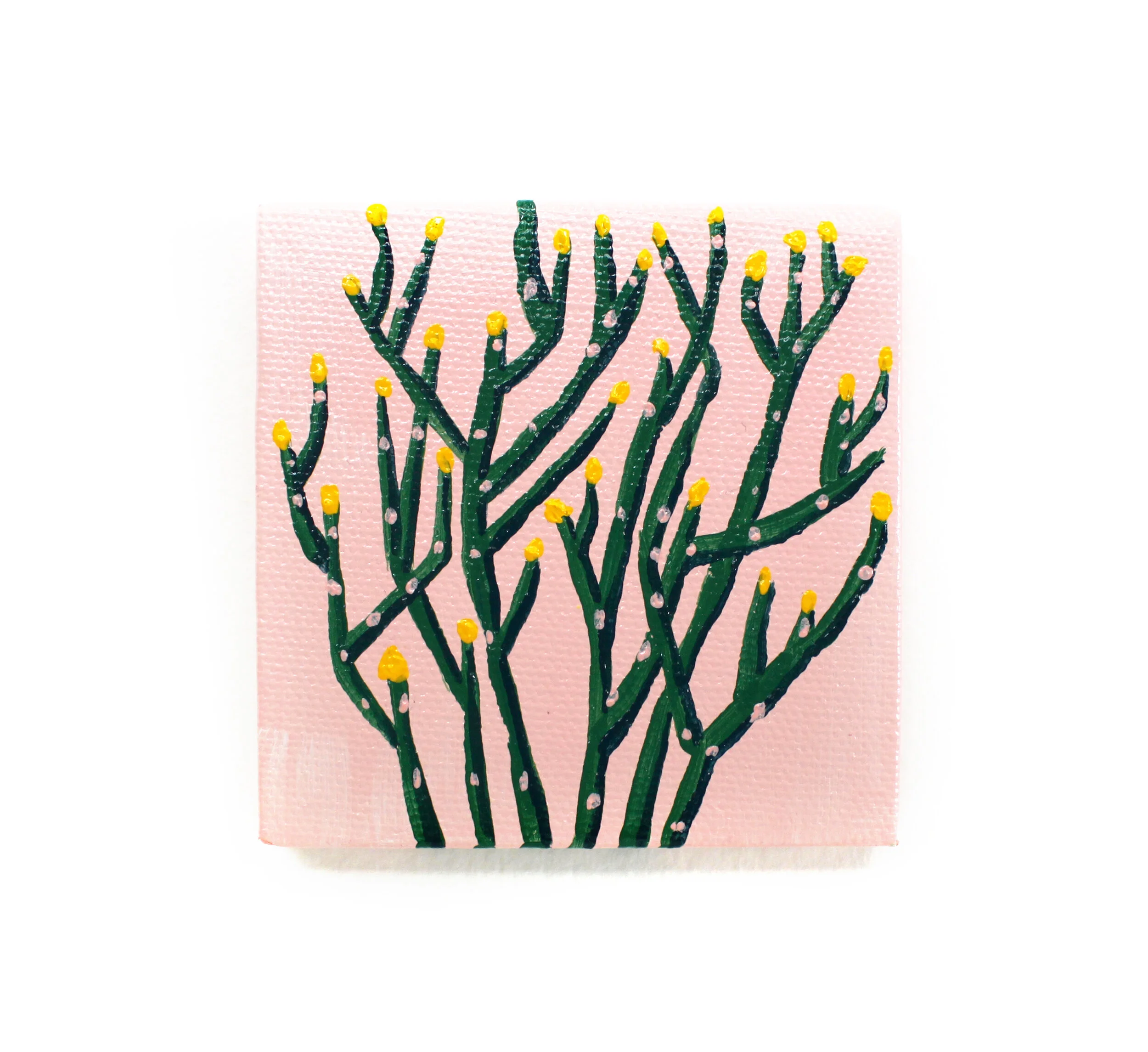 Portable Strength 20 | Chitra Gopala 