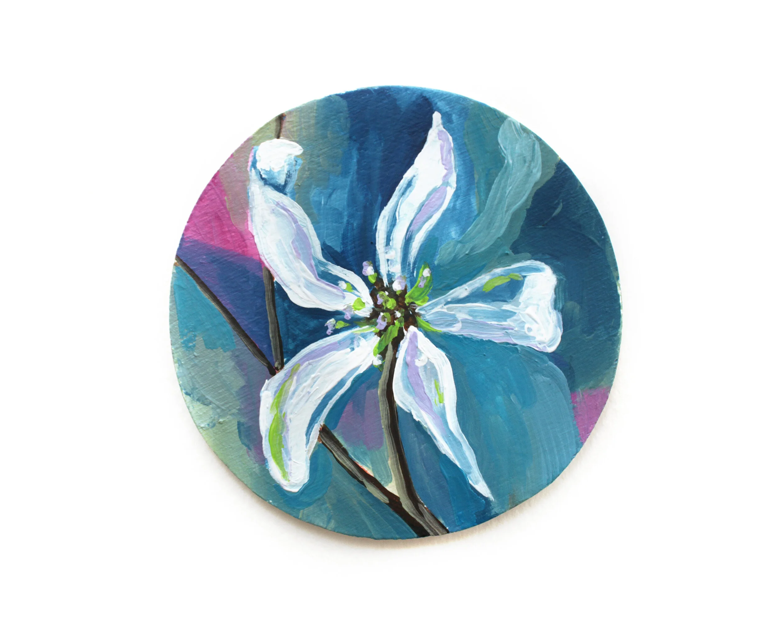 Pale-Leaved Serviceberry | Chitra Gopala 