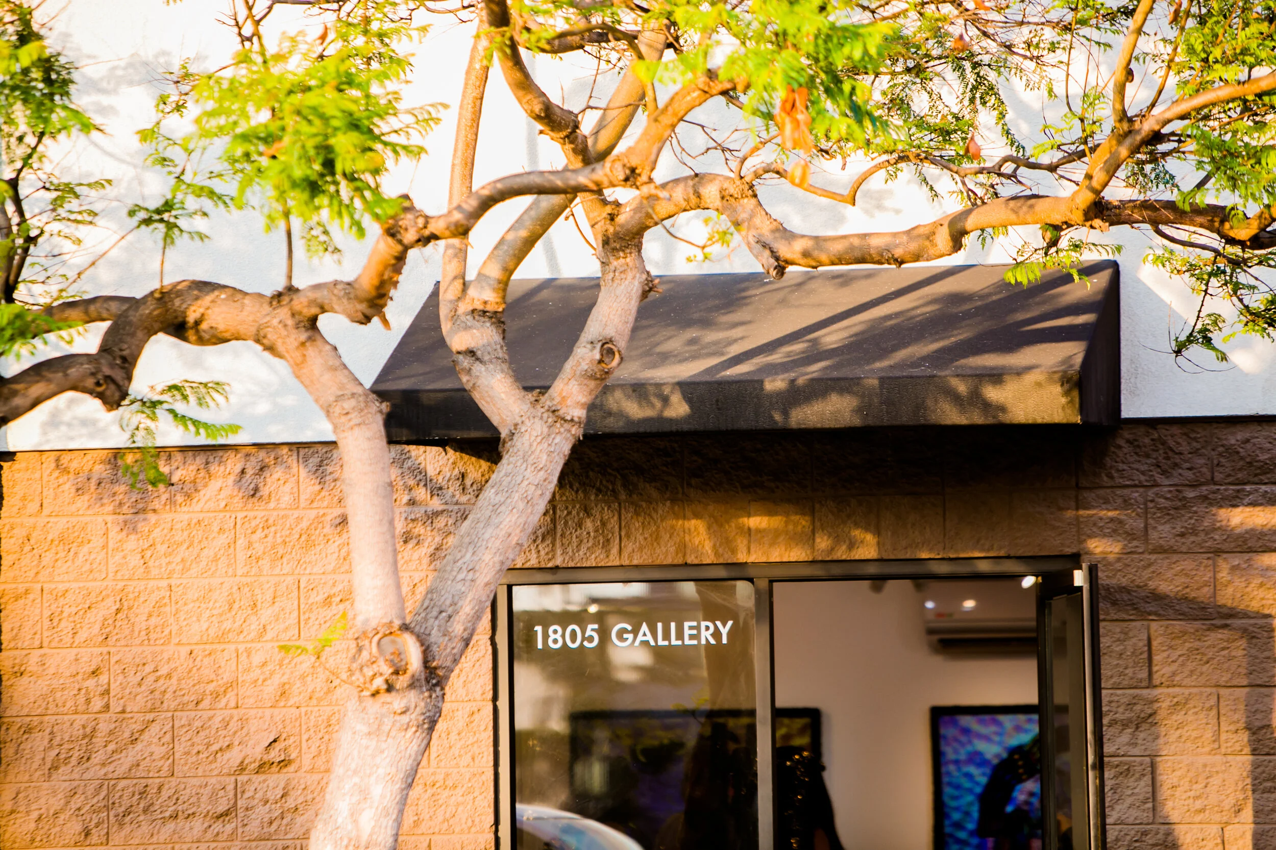 Gallery Announcement