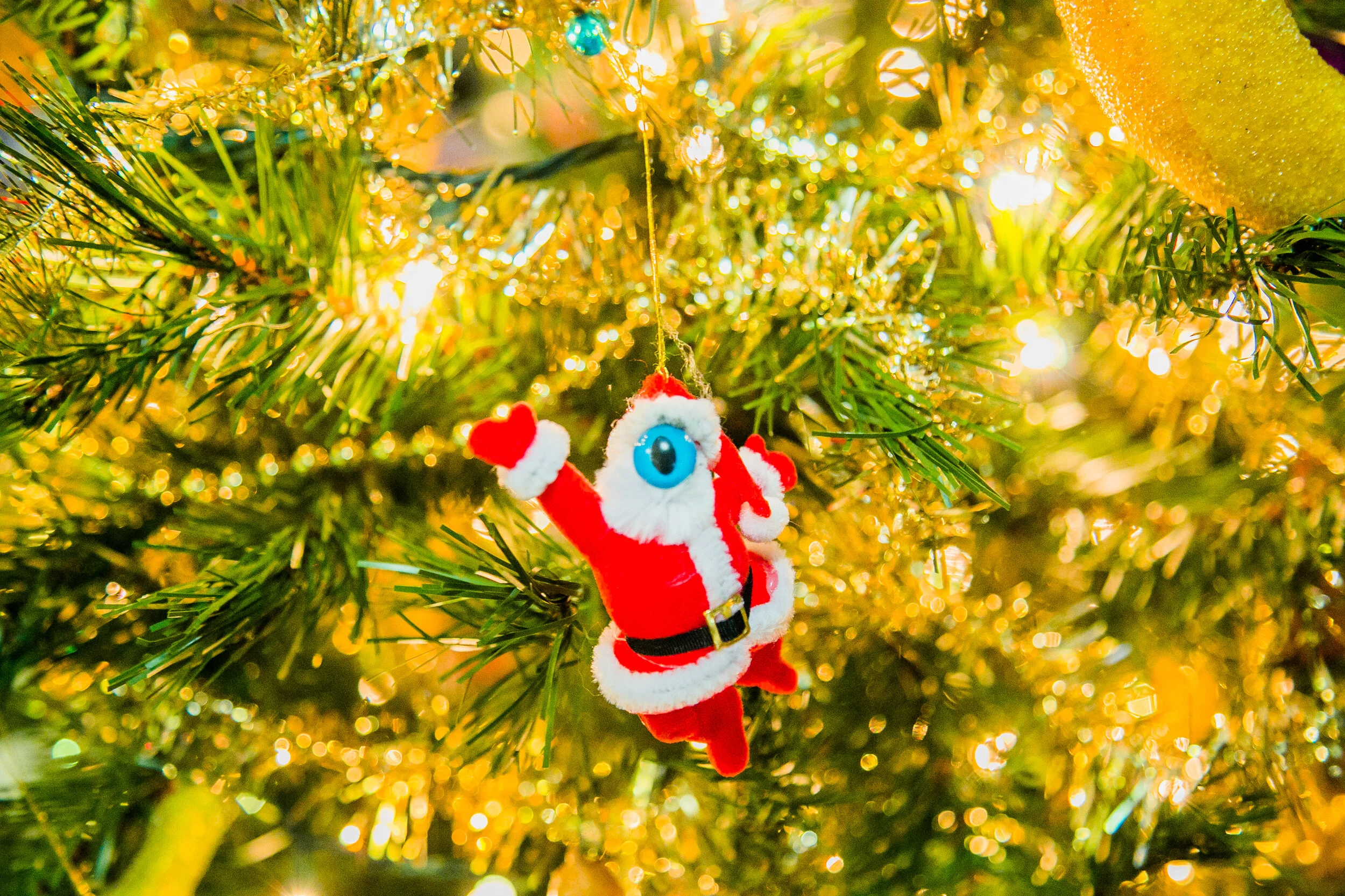 Images_Kitchmas_PortoVista201810.JPG