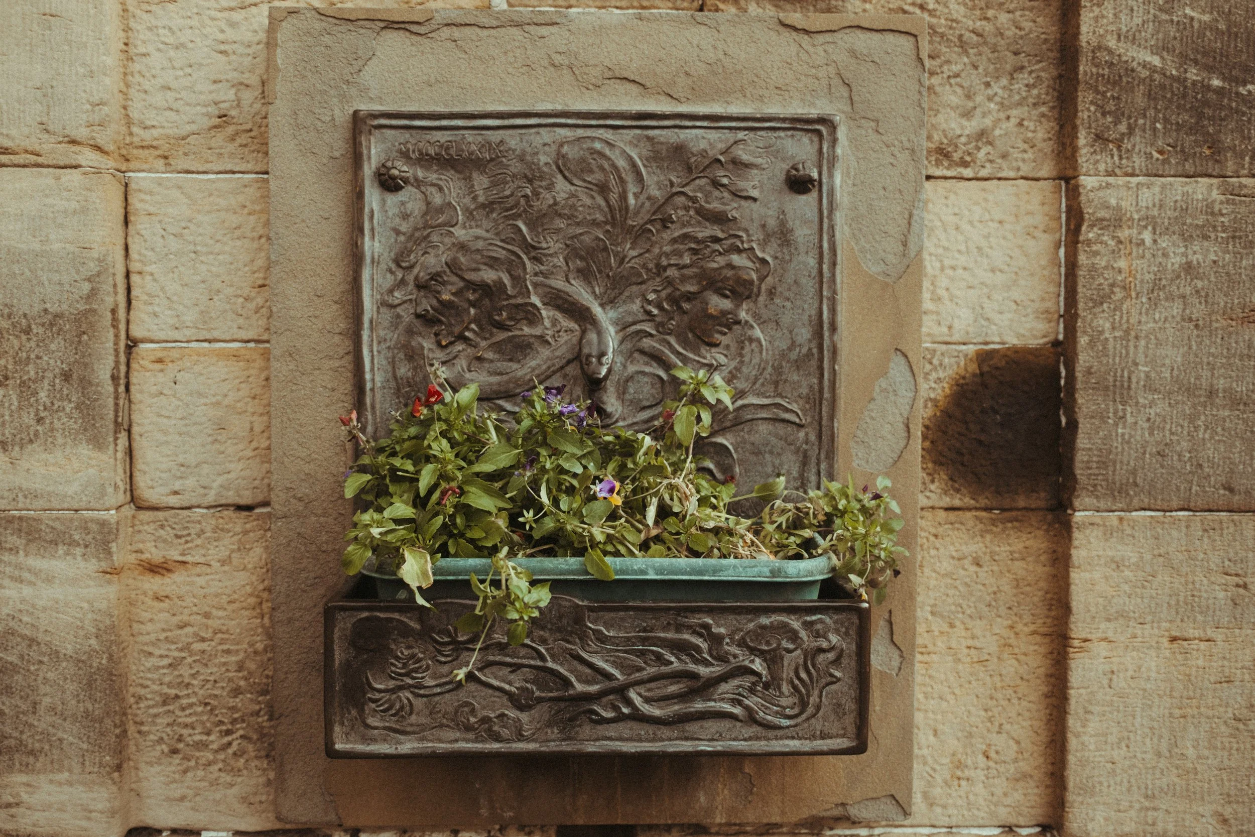 DSCF0784.jpg