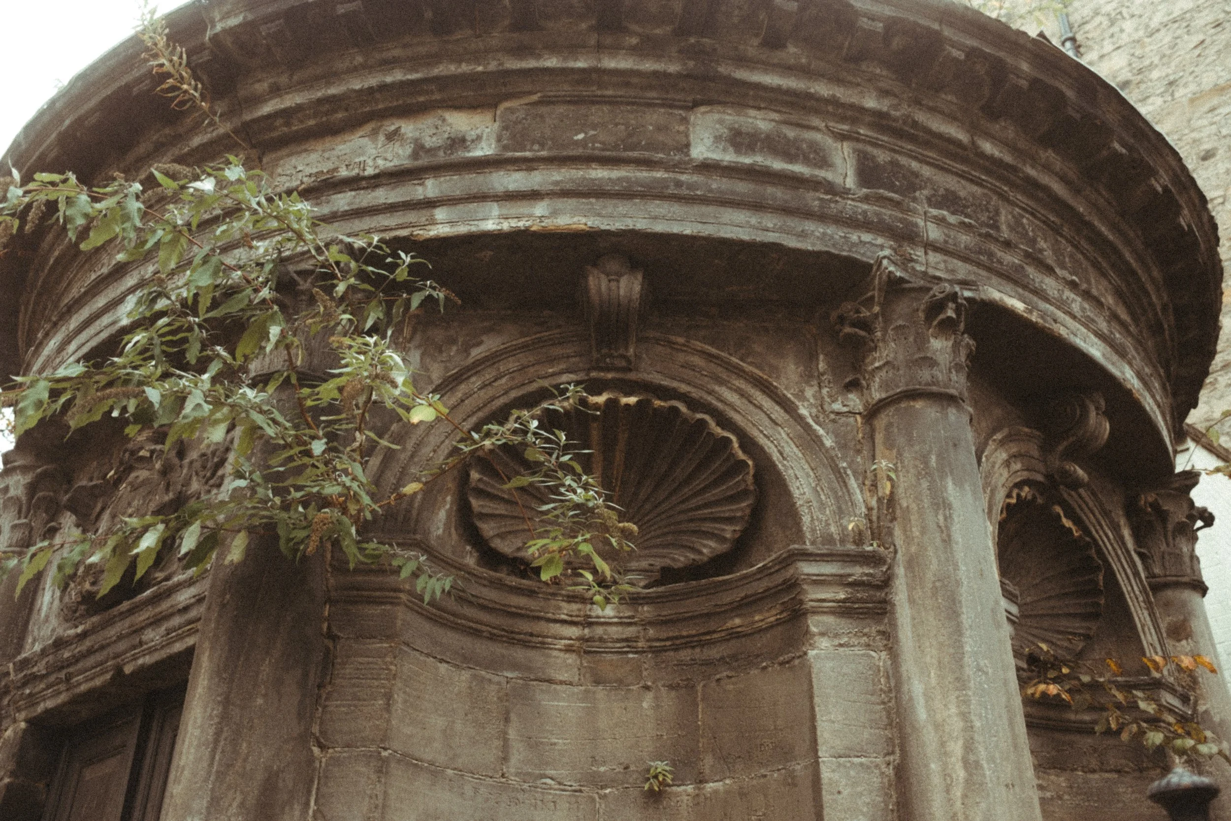 DSCF0838.jpg