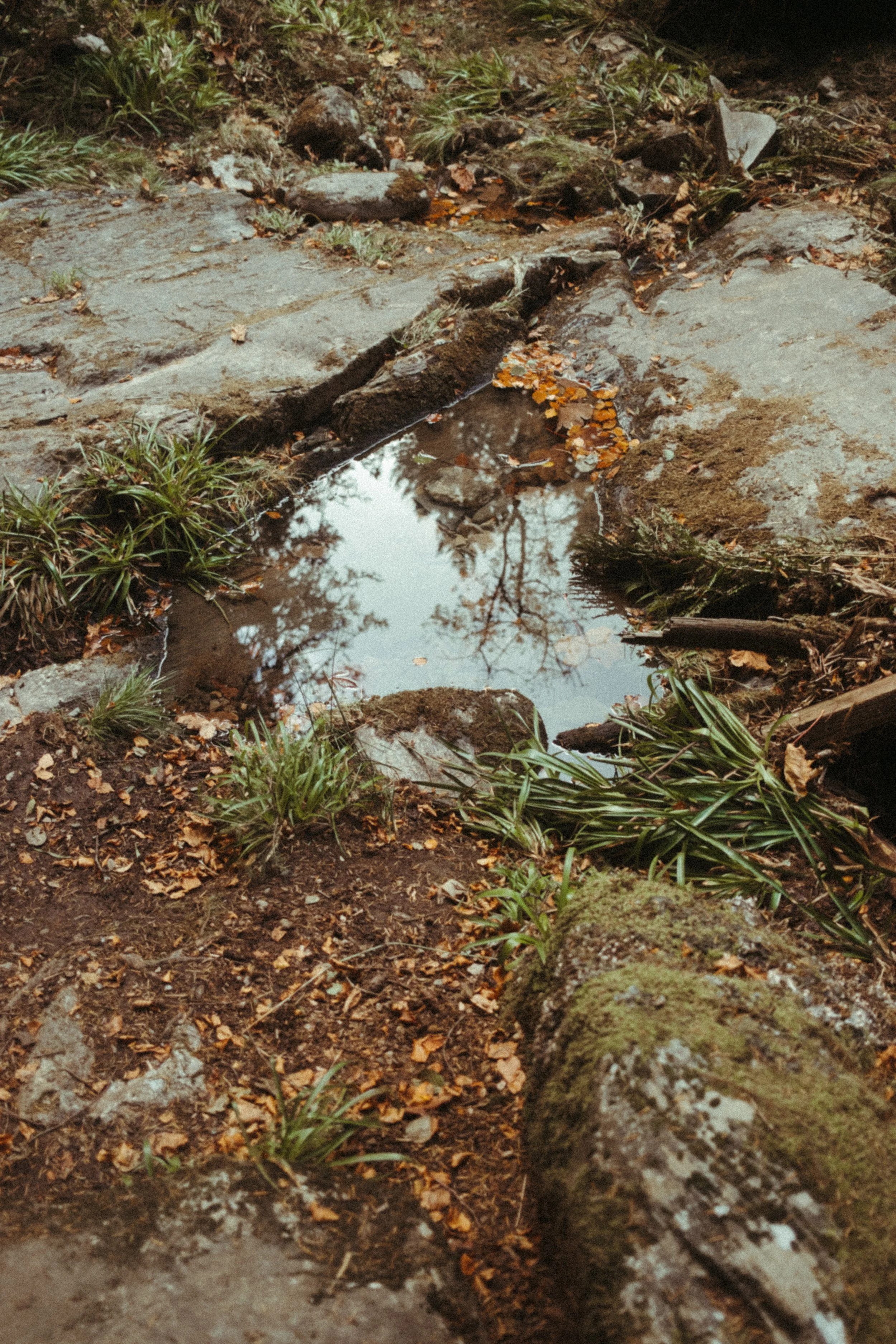 DSCF0135.jpg