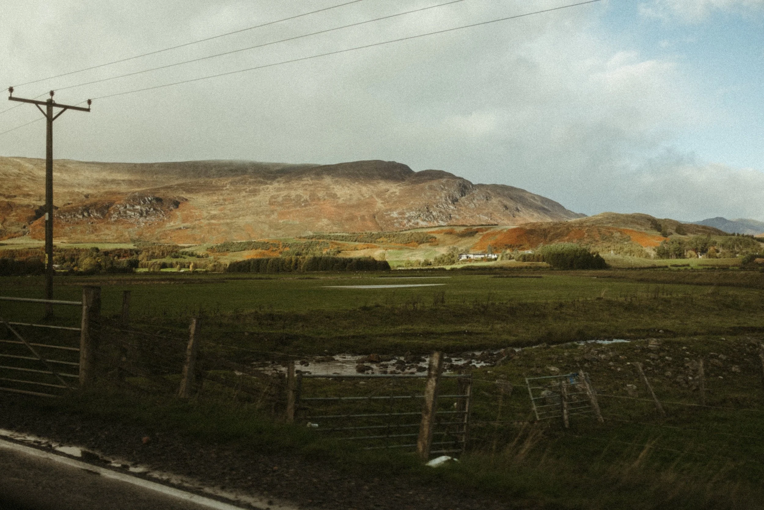 DSCF0236.jpg