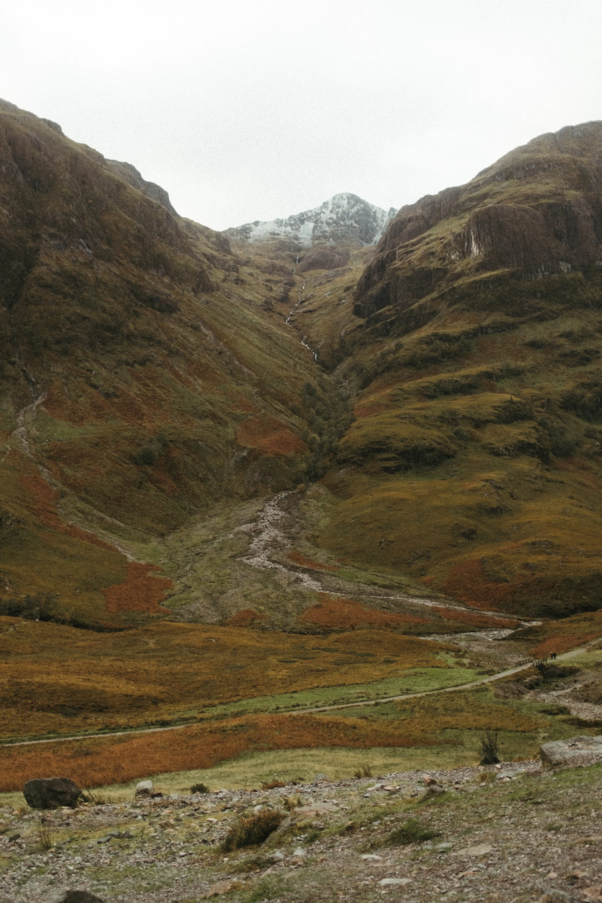 DSCF0459.jpg