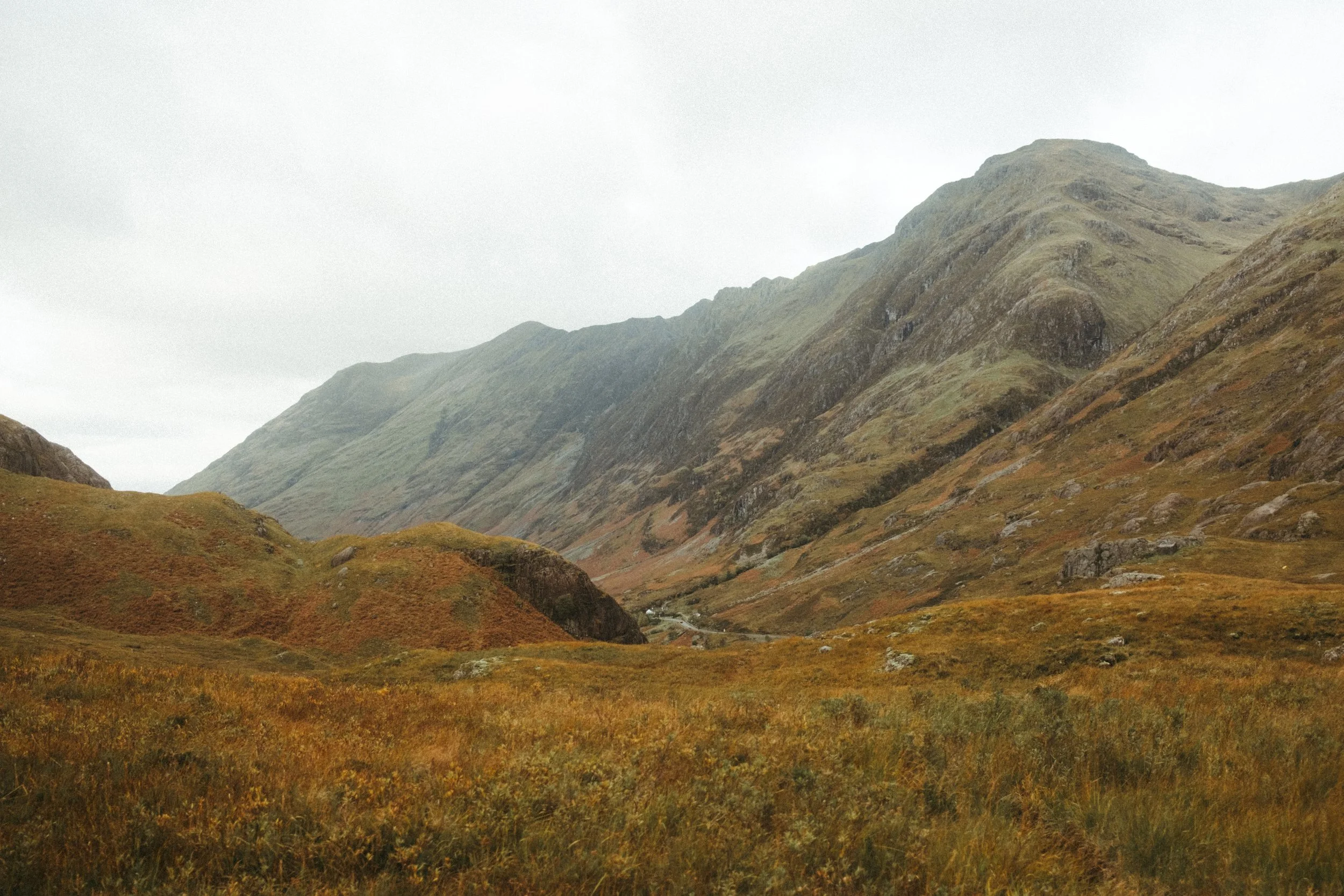 DSCF0636.jpg