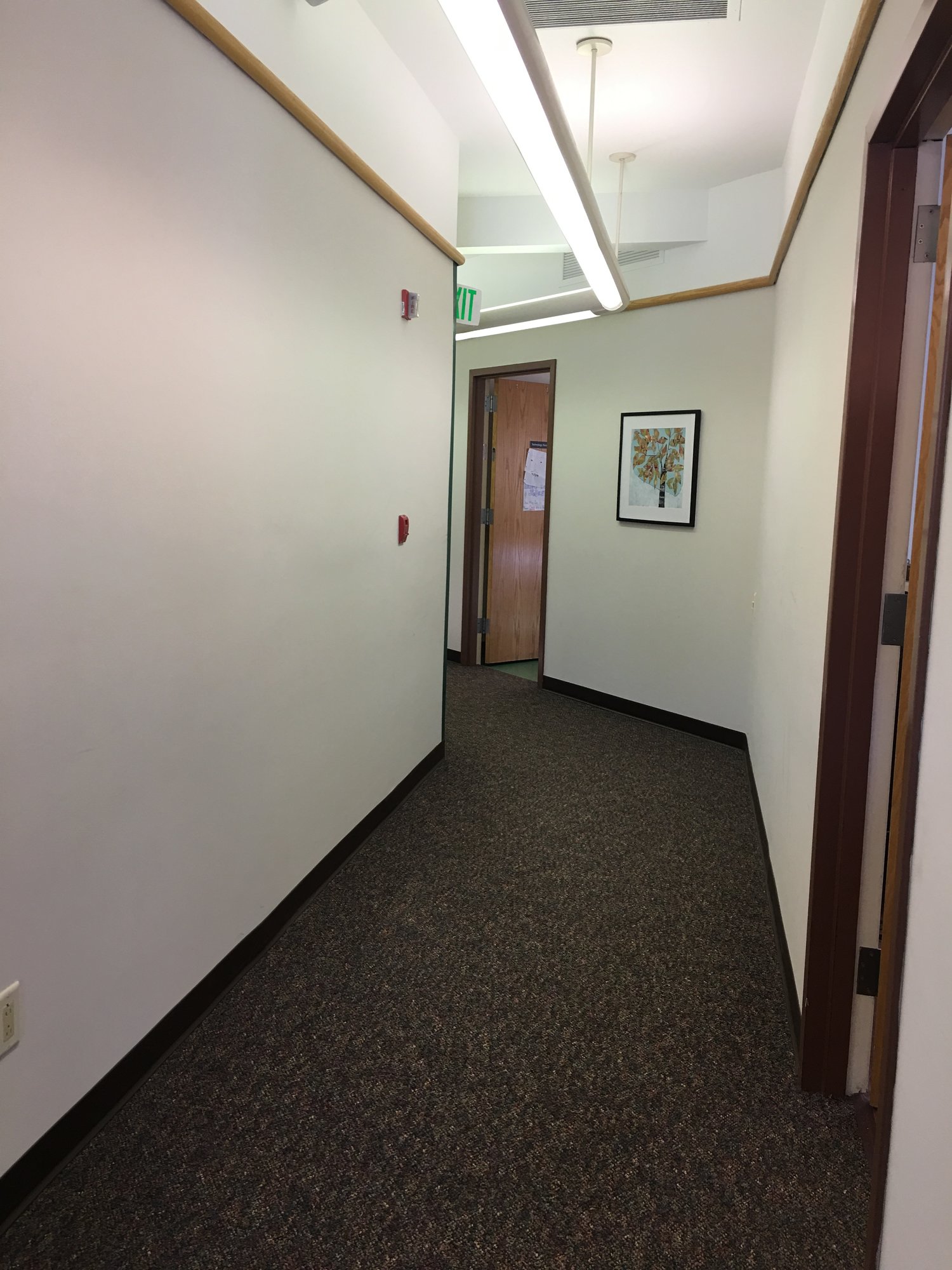 A quiet hallway. Photo by Ilene B. Miller