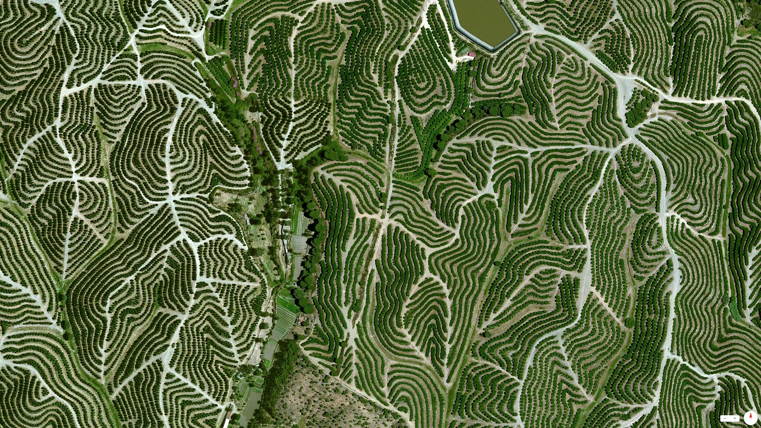 3/15/2014 Vineyards Huelva, Spain 37°42′12″N 6°36′10″W