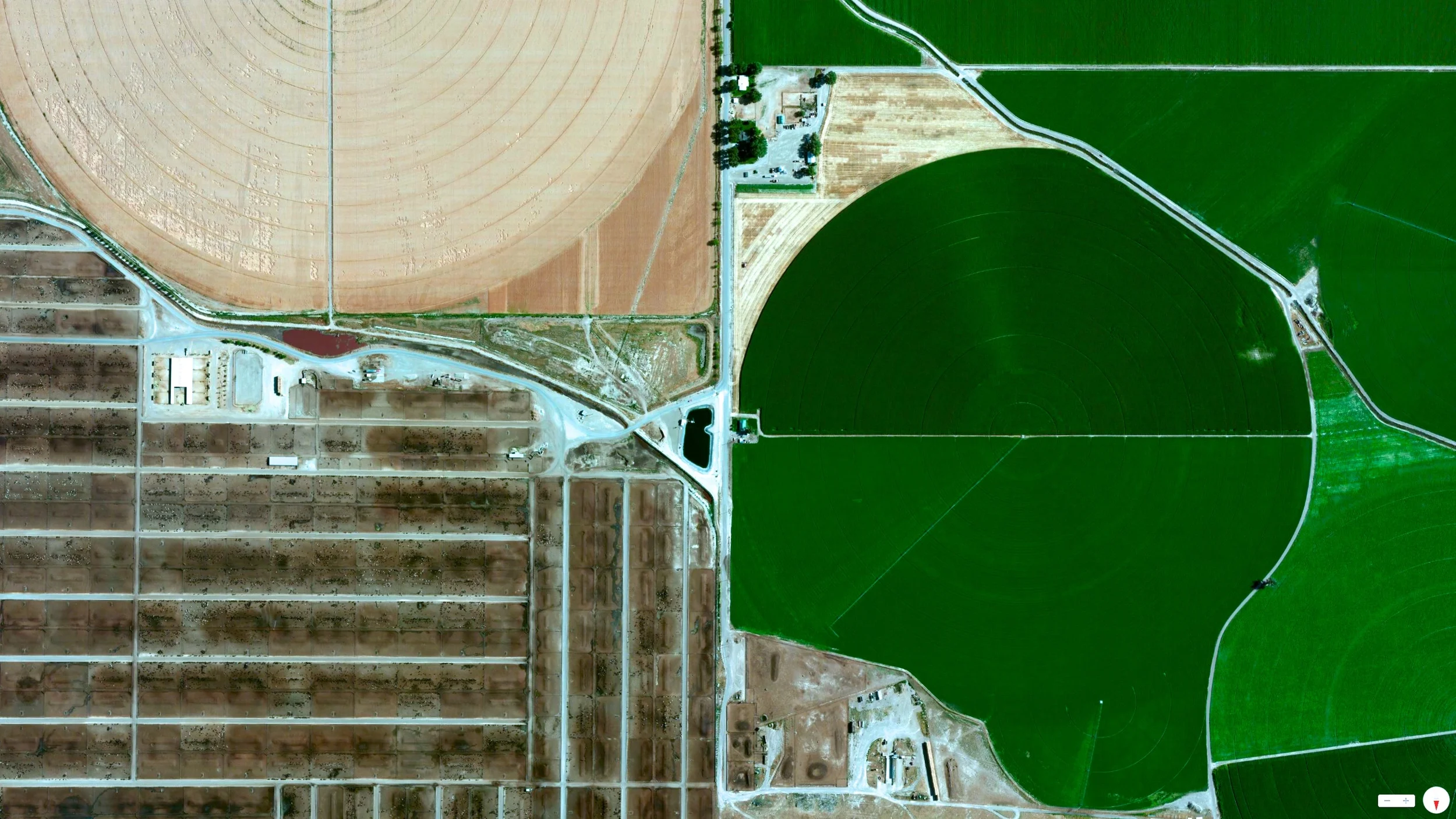 4/29/2014 Simplot Cattle Feedlot Grand View, Idaho, USA 43.043174, -116.088981
