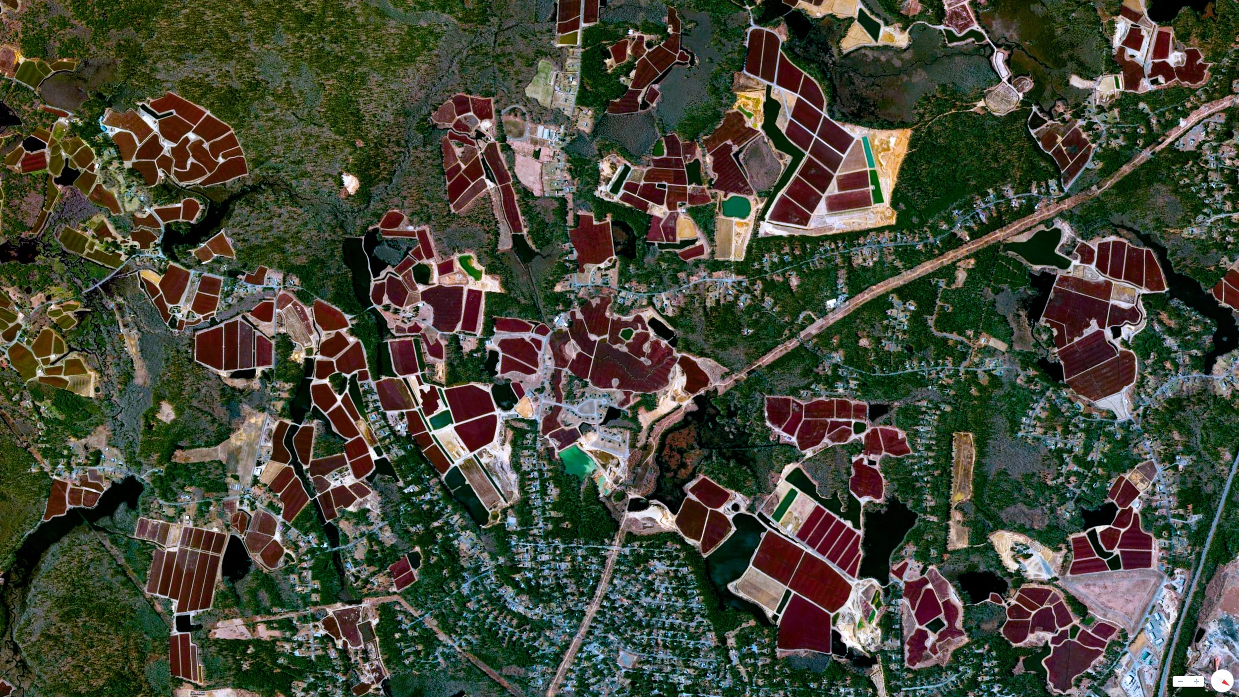 6/17/2014 Cranberry Bogs Carver, Massachusetts, USA 41°53′00″N 70°45′47″W