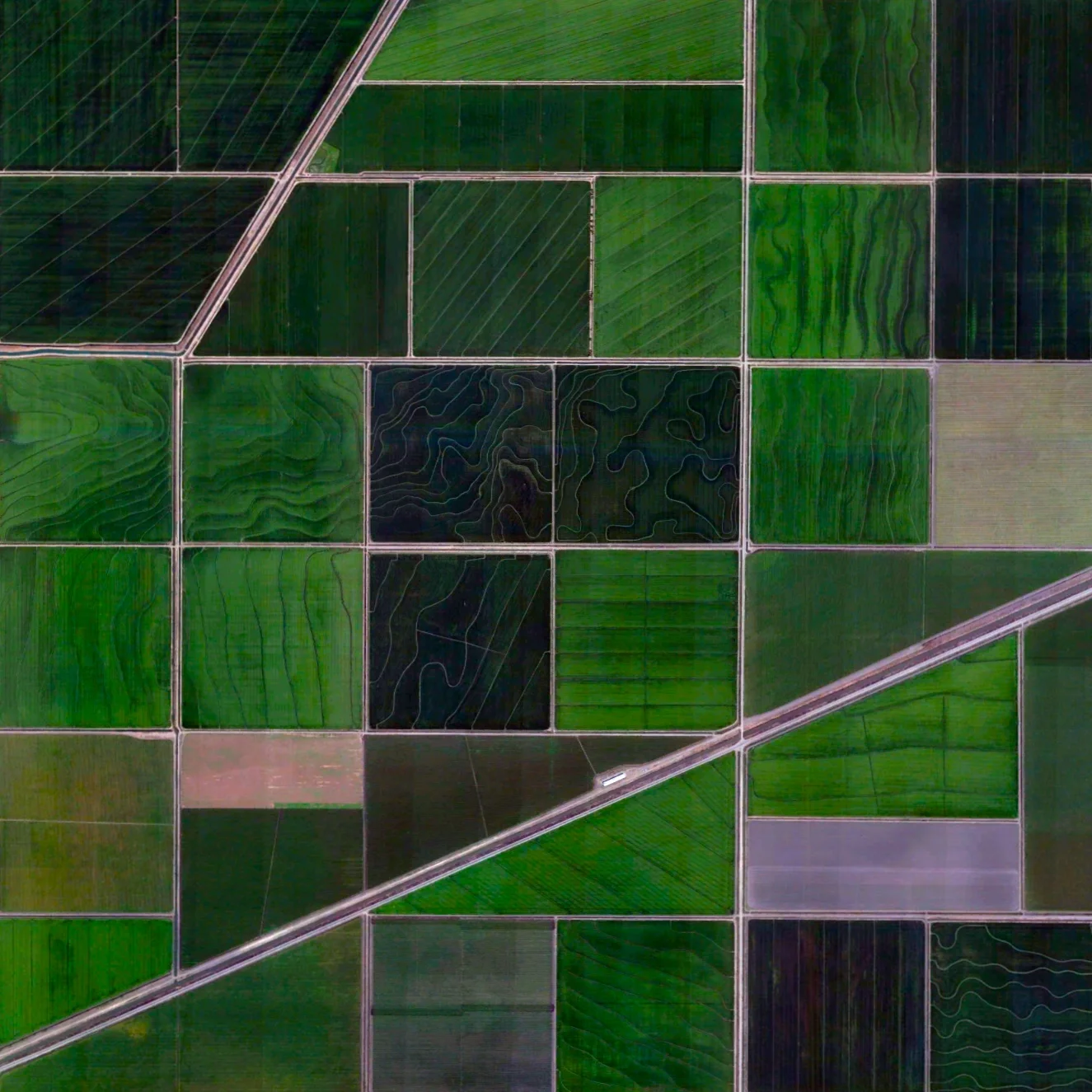 5/4/2015 Agriculture and irrigation canals Meridian, California, USA 38.925232927°, -121.714576895° Agricultural development in Meridian, California is partitioned by irrigation canals that originate at the Sacramento River. On average, 9.6 million acres of cropland across the state are irrigated with 11 trillion gallons of water every year. As of 2014, farmers in California cultivated approximately half of the United State’s fruits, vegetables, and nuts.