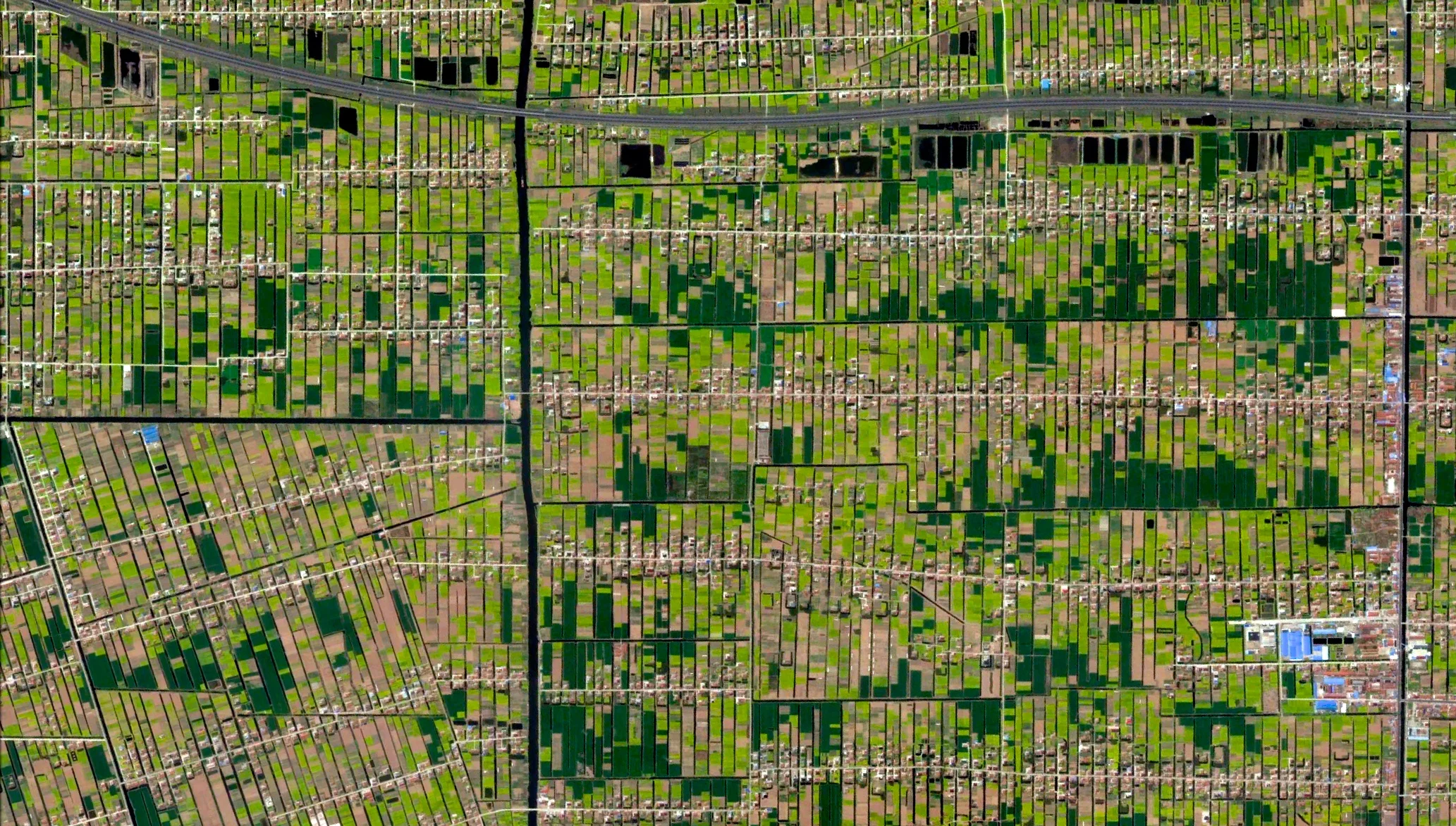 5/11/2015 Residential / agricultural development Jiulongzhen, Anhui, China 31.887639391°, 121.646788019° Individual homes and agricultural lots stretch across the landscape of Jiulongzhen in the Anhui Province of China.