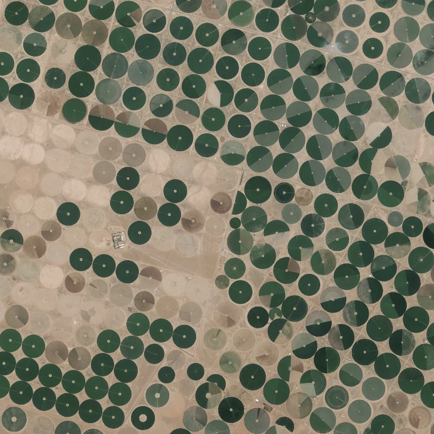 6/16/2015 Center-pivot irrigation Wadi As-Sirhan Basin, Saudi Arabia 30.089890096°, 38.271806556° Center pivot irrigation is used throughout the Wadi As-Sirhan Basin of Saudi Arabia. Water is mined from depths as great as one kilometer (~3,000 ft), pumped to the surface, and evenly distributed by sprinklers that rotate 360 degrees. Spurred by a government effort to strengthen its agriculture sector, cultivated land in the country grew from 400,000 acres in 1976 to more than 8 million acres by 1993. The diameter of the fields you see here are approximately three kilometers (1.9 miles) across.