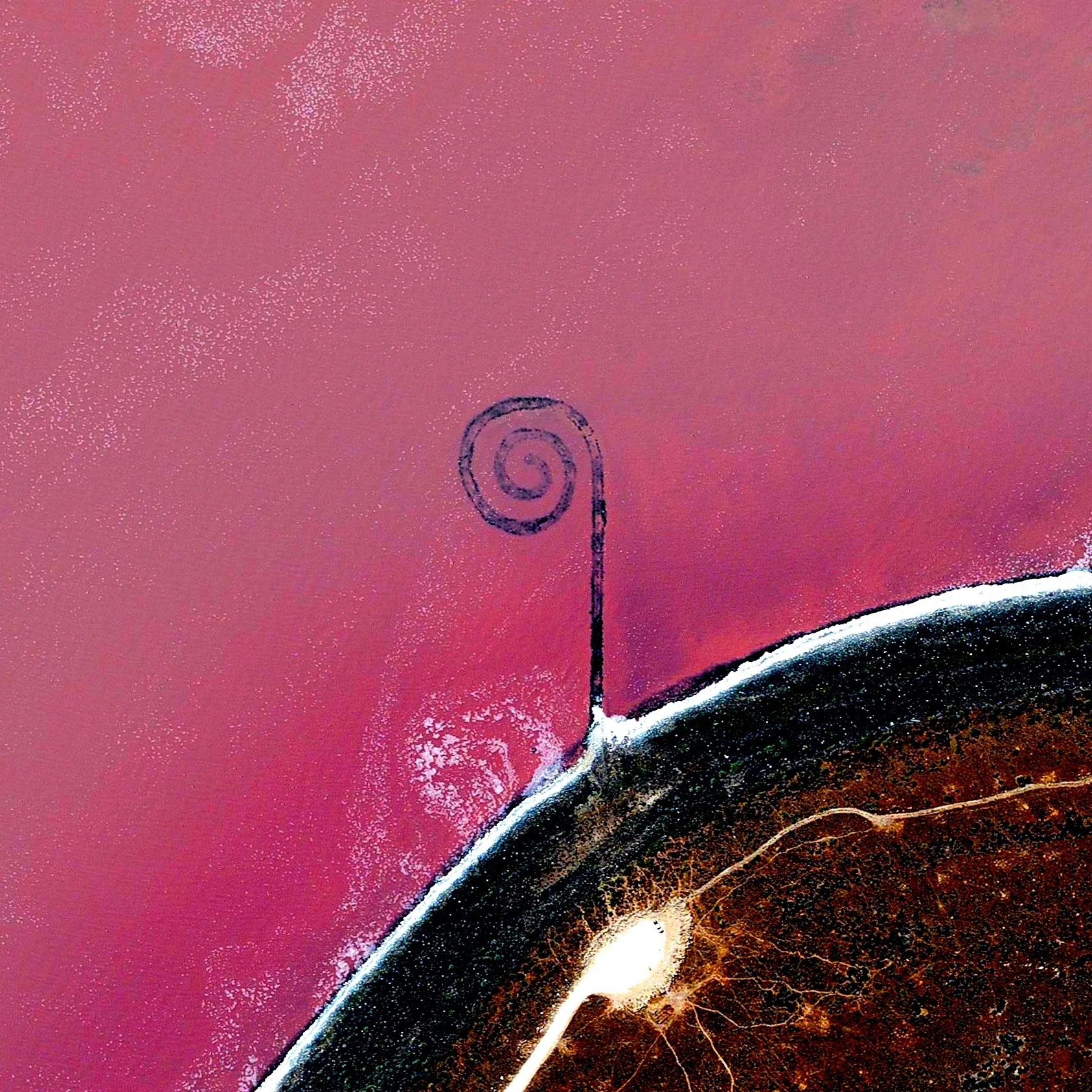 SPIRAL JETTY — Daily Overview