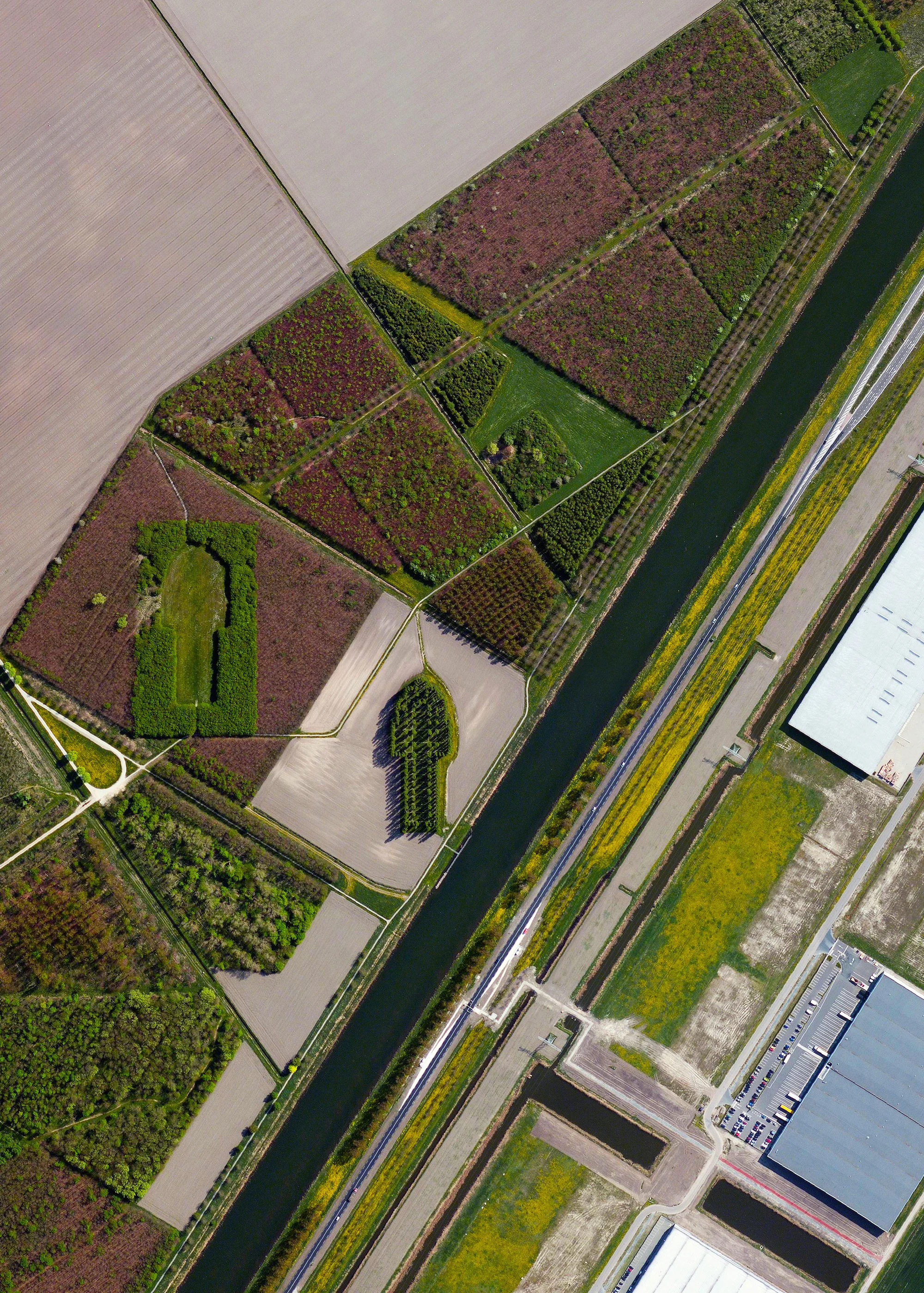 11/7/2015 The Green Cathedral Almere, Netherlands 52.323157°N 5.318778°E Look closely at this Overview and you'll see “The Green Cathedral” - an artistic planting of 178 Lombardy poplar trees near Almere, Netherlands. The “Cathedral” is 50 m (490 ft) long and 75 m (246 ft) wide, which mimics the exact size and shape of the Cathedral of Notre-Dame in Reims, France. The artist, Marinus Boezem, also made a clearing in a nearby beech forest of the same shape to suggest that as the poplars decline, beech trees will fill the empty space to symbolize a cycle of growth and decline.