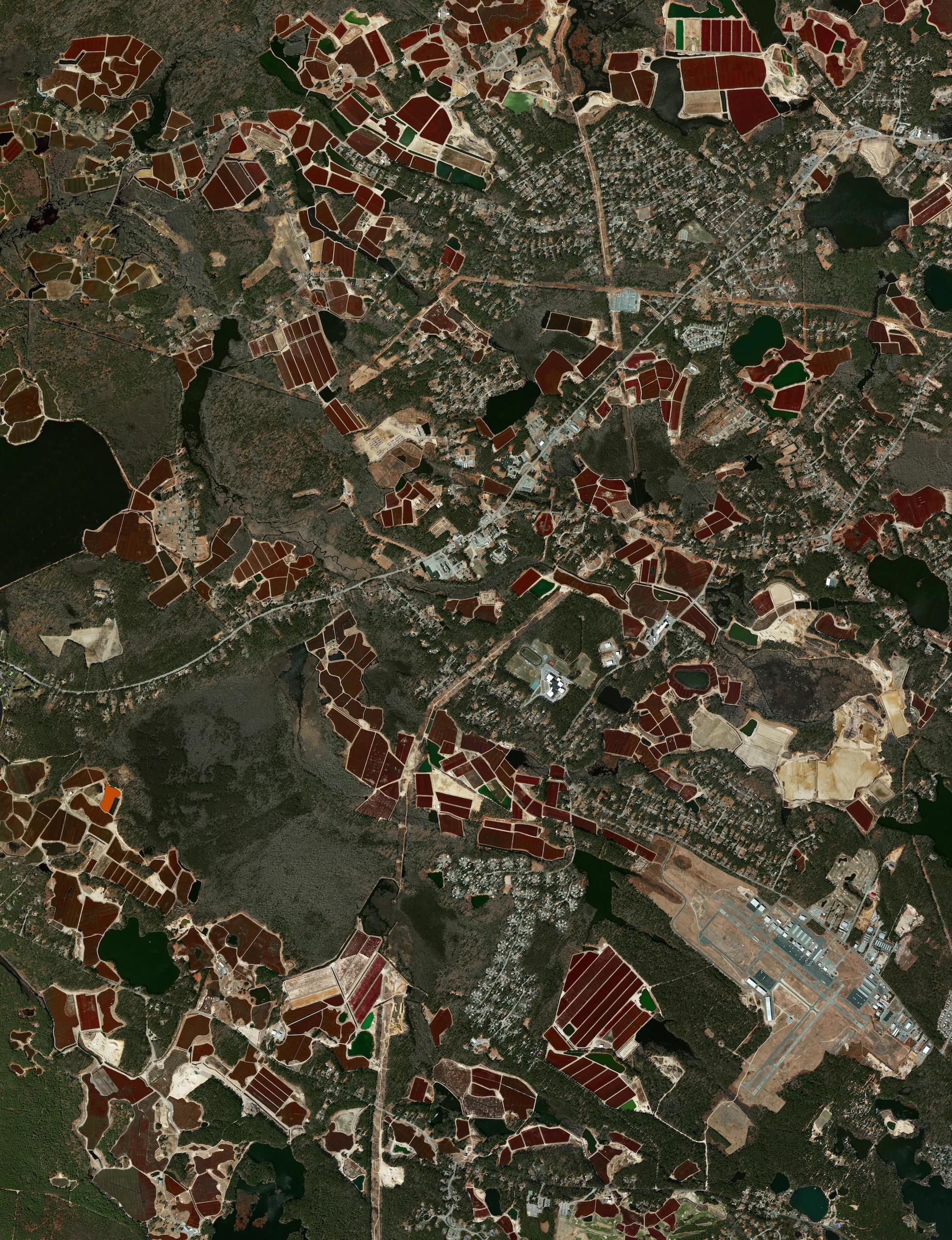 11/26/2015 Cranberry bogs Plymouth, Massachusetts, USA 41.914292034°, -70.792760538° If you put cranberries on your Thanksgiving turkey today, there’s a chance they came from these bogs in Plymouth, Massachusetts, USA. Cranberries are a Native American wetland fruit that are grown on low-lying vines, floating in beds of water layered with sand, peat, gravel, and clay. Coincidentally, the town of Plymouth is also the site of the colony founded by the Pilgrims in 1620 and was the home to the first Thanksgiving feast in 1621. Happy Thanksgiving from Daily Overview!