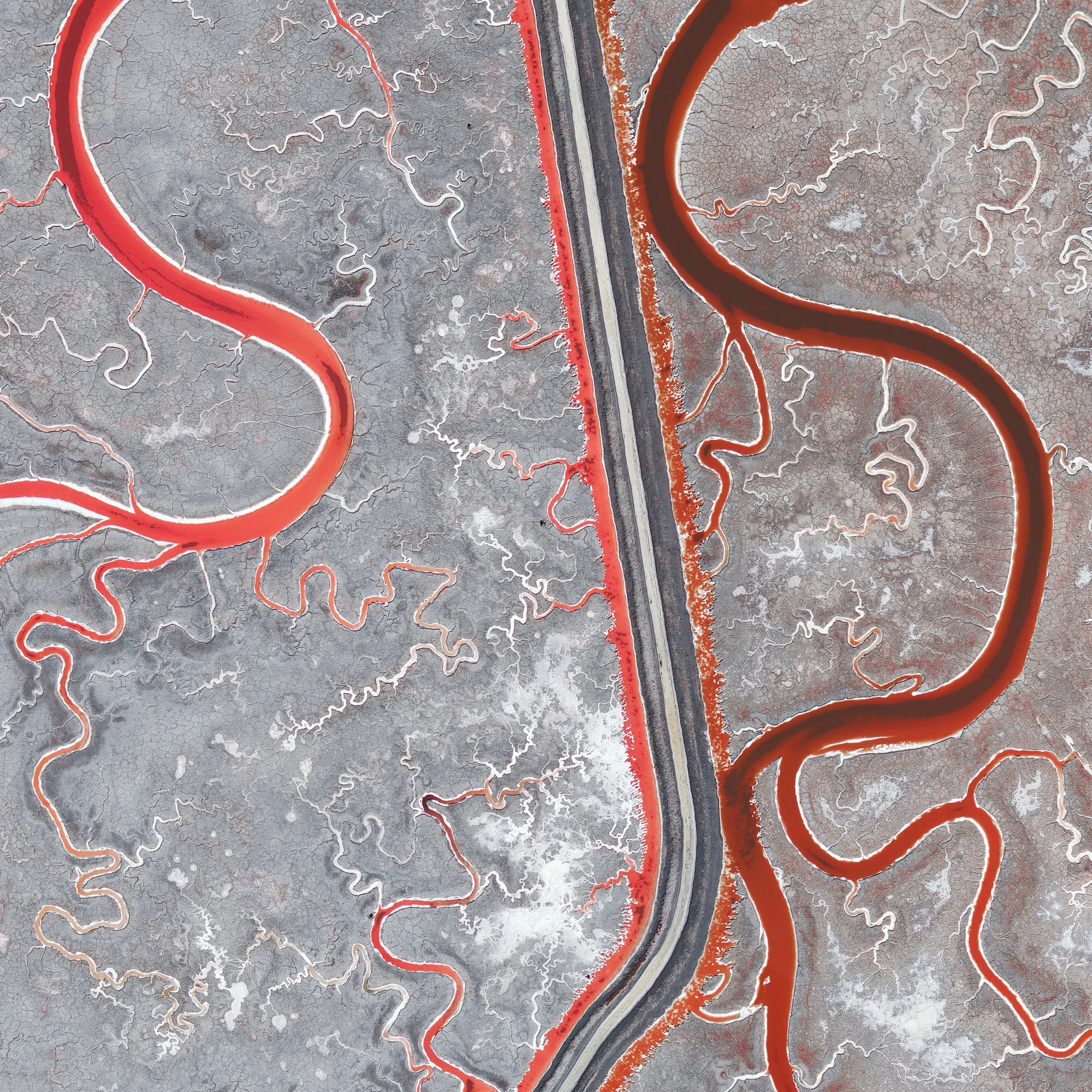 12/10/2015 Salt Ponds San Francisco, California, USA 37.495363674°, -122.160180343° I’m so excited to be heading to San Francisco today to co-host an #InstaMeet with HERE . The theme of our event is “The View From Above” and we’ll be checking out some of the coolest views throughout the city - from both elevated overlooks and from the air! One of the places I hope we spot are the colorful salt ponds of San Francisco Bay, seen here in this Overview. A recent figure estimates that 80% of the San Francisco Bay wetlands area - approximately 16,500 acres - have been developed for salt mining. The ponds get their particular, vibrant colors from the micro-algae that live there and the species' tolerance to salinity. Areas that have a bright red hue are caused by the algae Dunaliella, which thrives in water with extremely high salt content. For a sense of scale, this Overview shows approximately one half of a square mile.