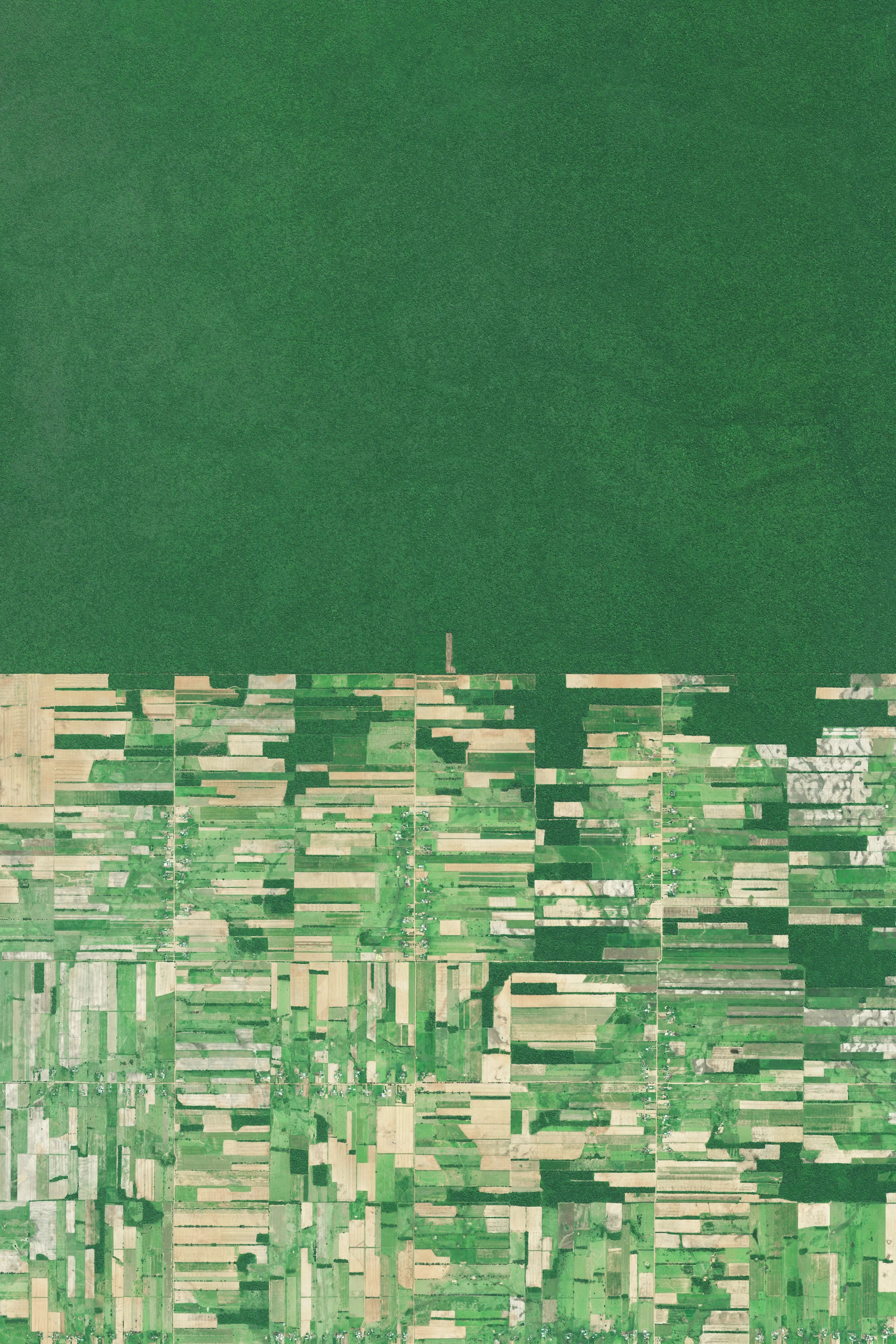12/14/2015 Deforestation Santa Cruz, Bolivia -17.387750000°, -60.562130556° Deforestation of the rainforest is visible in Santa Cruz, Bolivia. Deforestation in the country has primarily been driven by the expansion of mechanized agriculture and cattle ranching. This Overview highlights the country’s struggle to expand food production in order to meet the needs of its growing population, and the sacrificial destruction of its forests that has taken place to do so. Deforestation rates have been stable though relatively high, at about 200,000 hectares a year.
