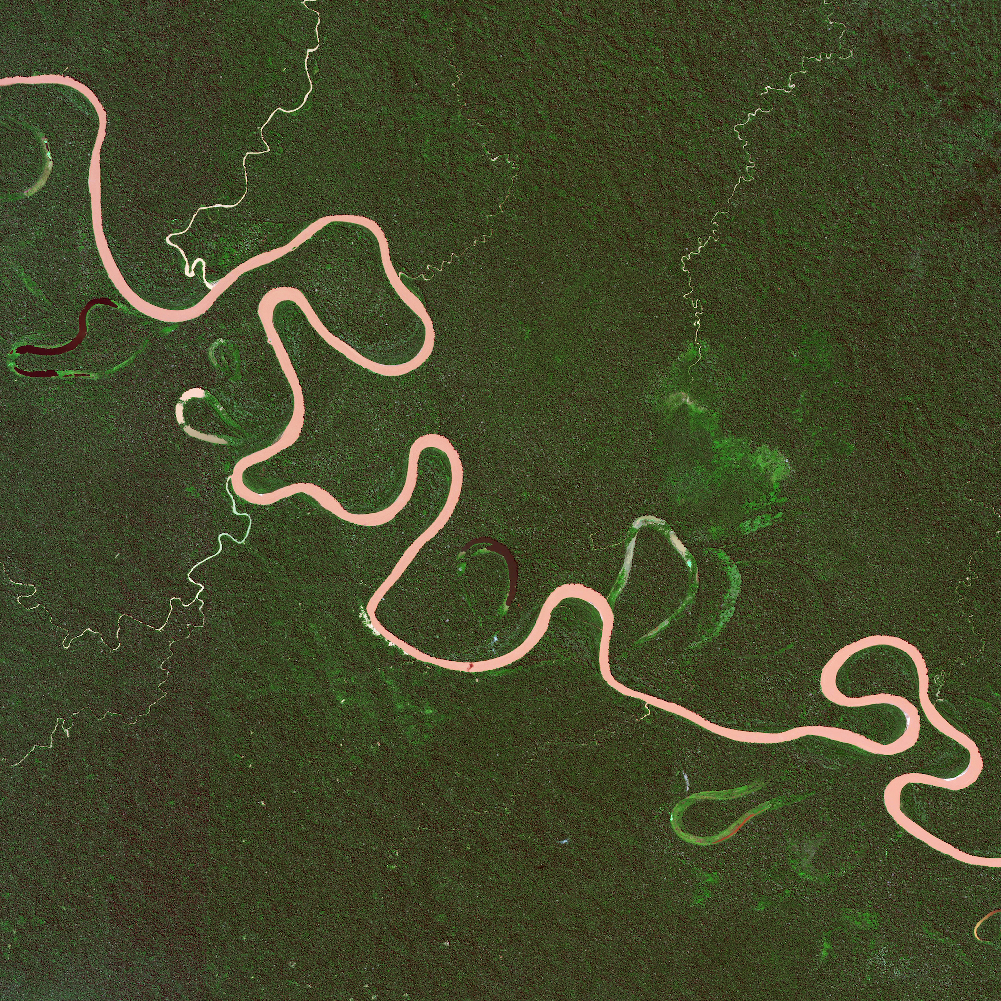 12/24/2015 Rio Madre De Dios Peru -11.8577755, -71.4274598 The Rio Madre De Dios swirls in the rainforests of Peru. Oxbow lakes - the U-shaped branches coming off the main river - form when a wide meander from the main stem of a river is cut off, creating a free standing body of water.