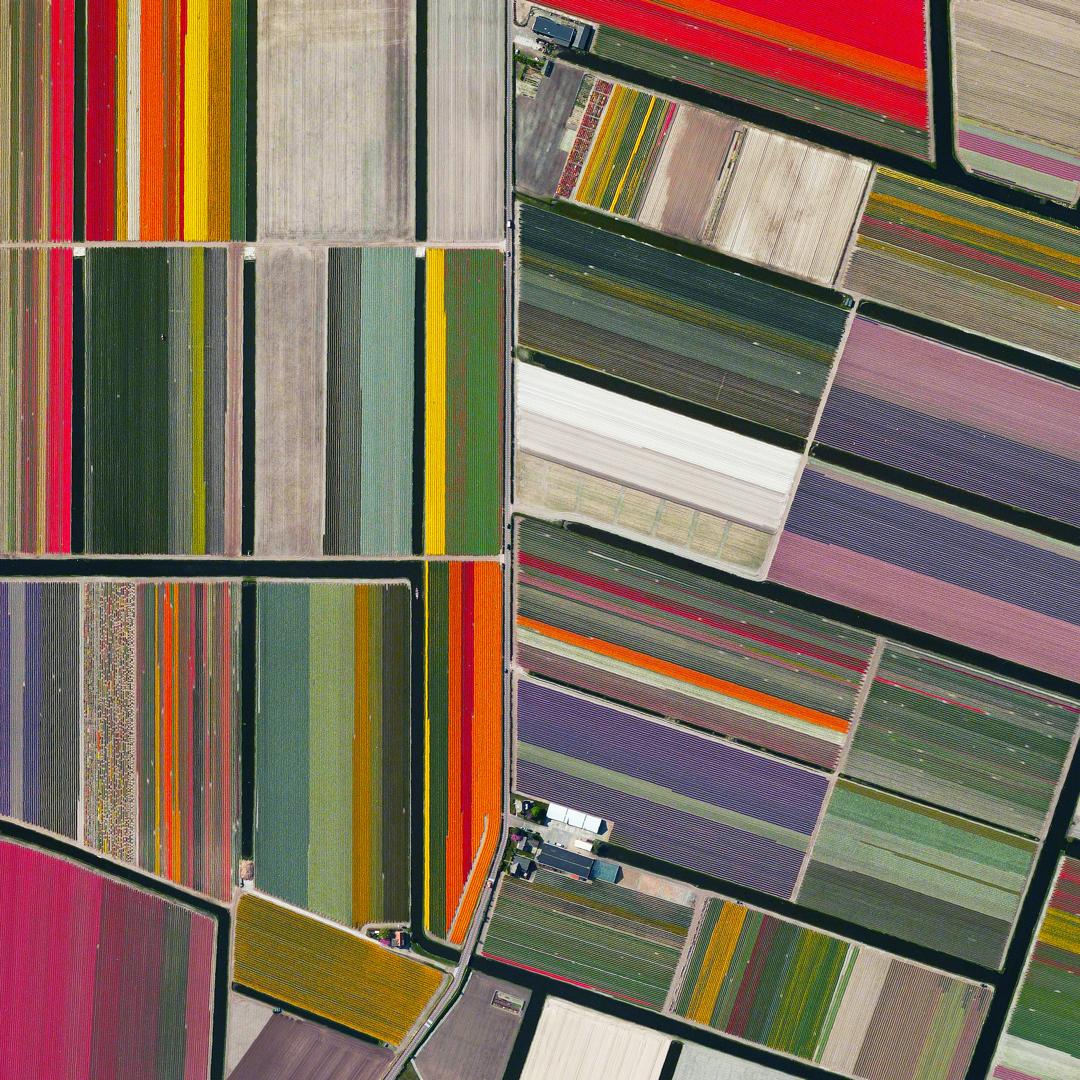 12/31/2015 Tulip fields Lisse, Netherlands 52.276355786°, 4.557080790° Here’s our final favorite Overview from 2015 - tulip fields in Lisse, Netherlands. I hope everyone has a beautiful and colorful New Year. See you in 2016!