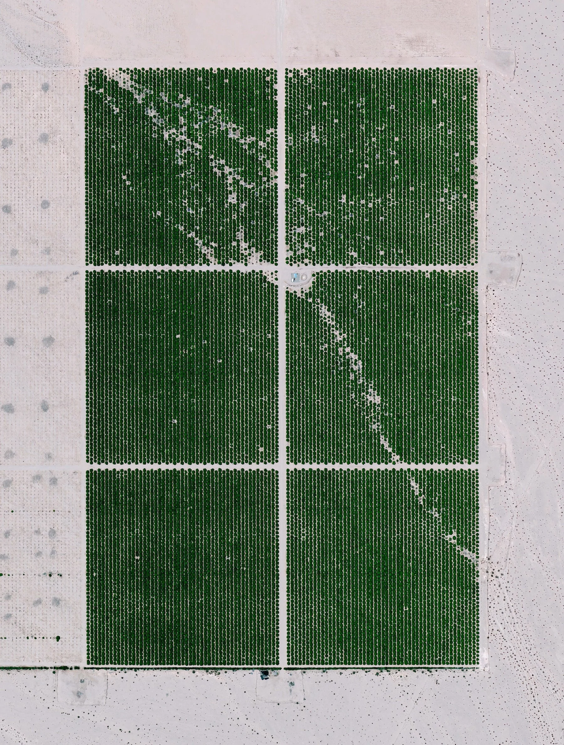 1/12/2015 Cadiz Ranch Mojave Desert, California, USA 34.494638, -115.500469 Cadiz Ranch in Essex, California is located in the middle of the Mojave Desert. The organic farm grows lemons, table grapes (dried and turned into raisins) and squash on more than 300 acres of irrigated desert. This is made possible by seven wells that pump 2,000 gallons of water per minute at all times from an underground aquifer - a layer of water-bearing permeable rock from which water can be extracted.