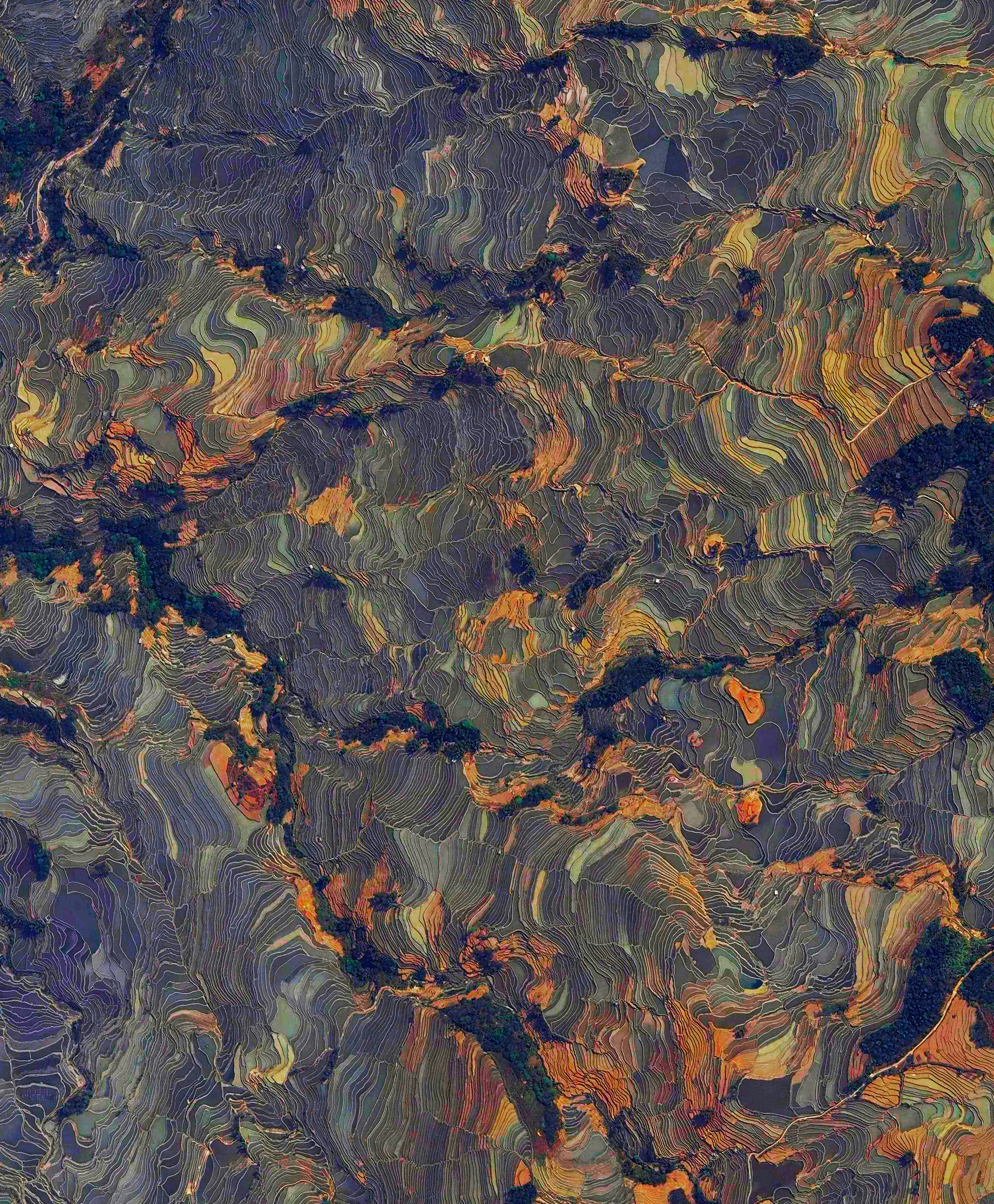 3/2/2016 Rice paddies Yuanyang County, China 23°09′32″N 102°44′41″E Rice paddies, constructed in steps, cover the mountainsides of Yuanyang County, China. Cultivated by the Hani people for the last 1300 years, the slope of the terraces varies from 15 to 75 degrees with some having as many as 3,000 steps.