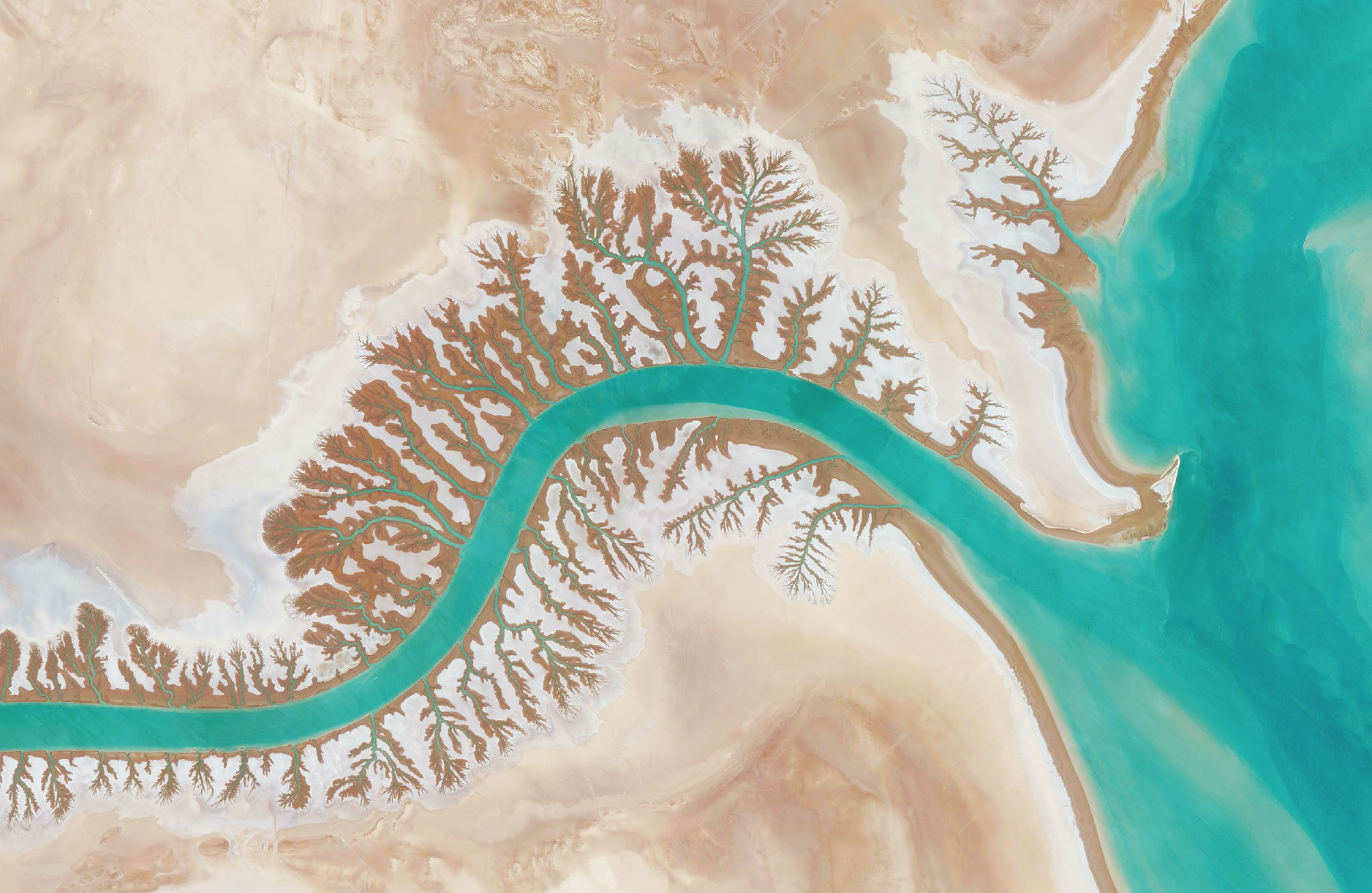 3/9/2016 Dendritic drainage systems Shadegan Lagoon, Iran 30.327274, 48.829255 A dendritic drainage pattern is seen around the Shadegan Lagoon by Musa Bay in Iran. Dendritic literally means branched, as in resembling the pattern of a tree. This shape develops when streams move across relatively flat and uniform rock or over a surface that resists erosion.