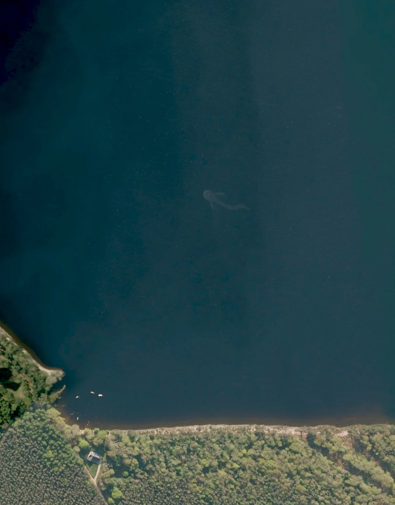 4/1/2016 Loch Ness Inverness, Scotland 57.399621, -4.340859 We think we’ve spotted something unusual on the surface of Loch Ness in Scotland. The lake extends for approximately 23 miles (37 km) and is well-known as the possible home to “Nessie” - reportedly a massive sea monster resembling a plesiosaur. While water visibility is exceptionally low at the lake because of high peat content in the surrounding soil, our Overview perspective does not suffer from the same limitations and picked up this figure in imagery from 2014. 