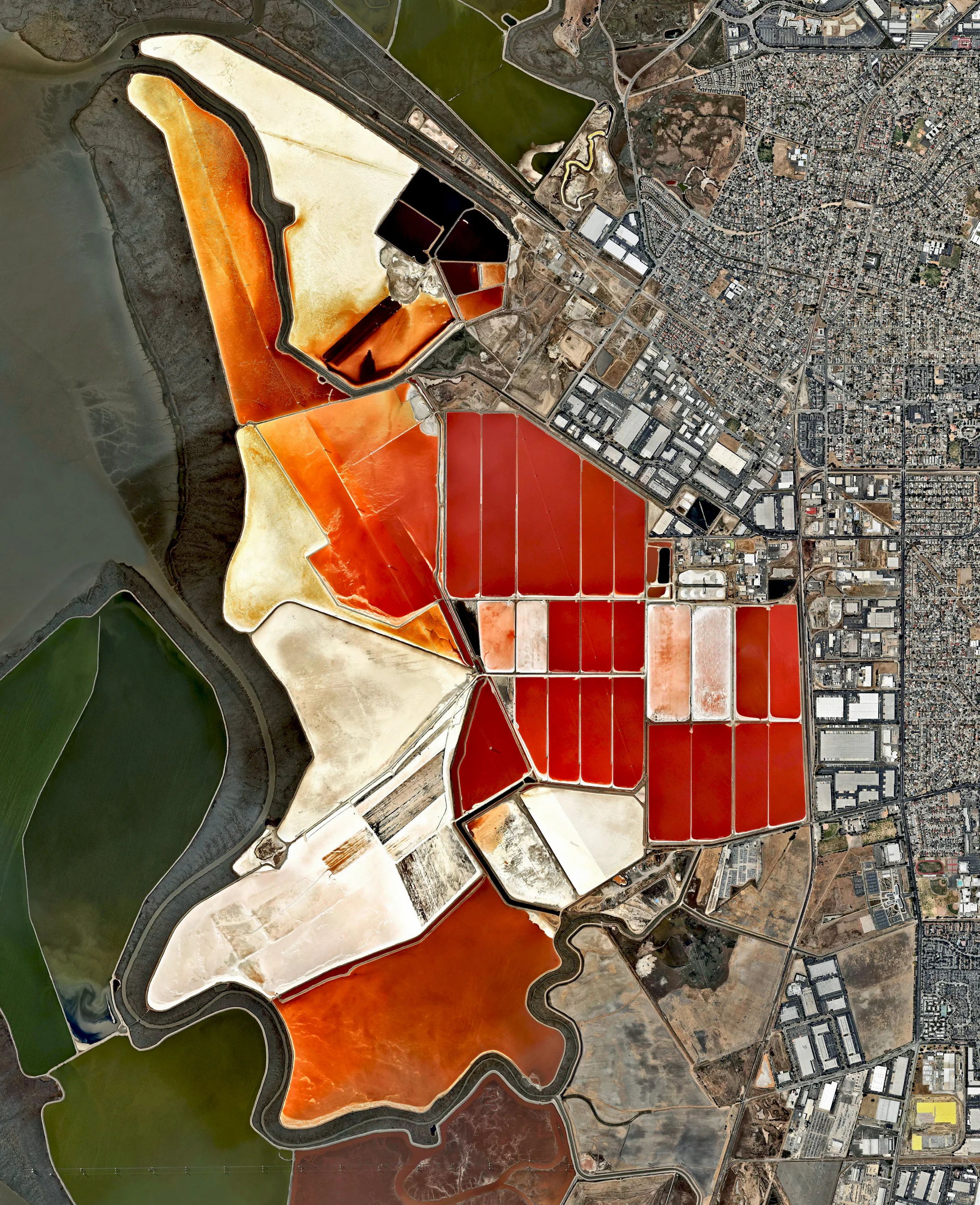 10/10/2016 Salt ponds San Francisco Bay, California, USA 37.5106531, -122.053325 The salt evaporation ponds seen here cover roughly 10 square miles (26 square km) in San Francisco Bay, California, USA. Salt is extracted from the water here through a lengthy process. First, water from the bay is channeled into massive basins where it begins a transformation into brines. Over five years, the brines evaporate, concentrate, and travel several miles before they are collected as pure salt crystals. The massive ponds get their vibrant color from a particular species of algae (Dunaliella) that thrives in extremely salty water and produces a red pigment. Source imagery: Nearmap
